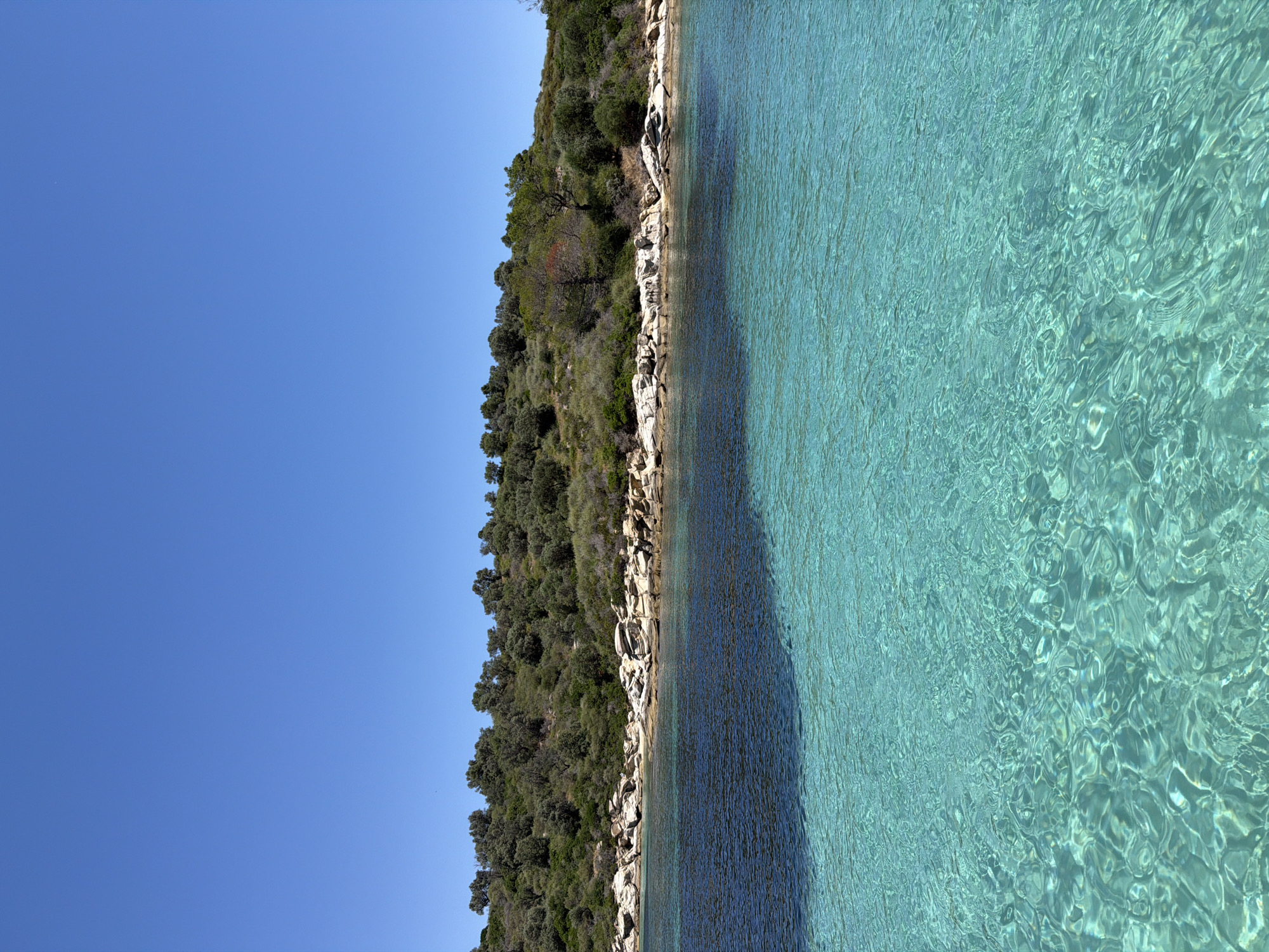 This is a vertical, eye-level shot of a clear blue sky and a tranquil turquoise sea. The upper half of the image is dominated by the vast, cloudless sky, a vibrant shade of blue. Below the sky, a lush green hillside slopes down towards the water. The hillside is covered in dense vegetation, including trees and shrubs, with a scattering of rocks and boulders along its edge. The shoreline is rocky, with light-colored stones interspersed with patches of darker, wet rock.
The sea in the foreground is strikingly clear, with a brilliant turquoise hue that reveals the sandy bottom beneath. The water's surface is gently rippled, creating shimmering patterns of light. A darker, shadowed area of water is visible further out, transitioning from the light turquoise of the shallows. No people or boats are visible in the scene. The overall impression is one of serene natural beauty. The scene is likely a coastal area in Greece, known for its clear waters and rugged landscapes.