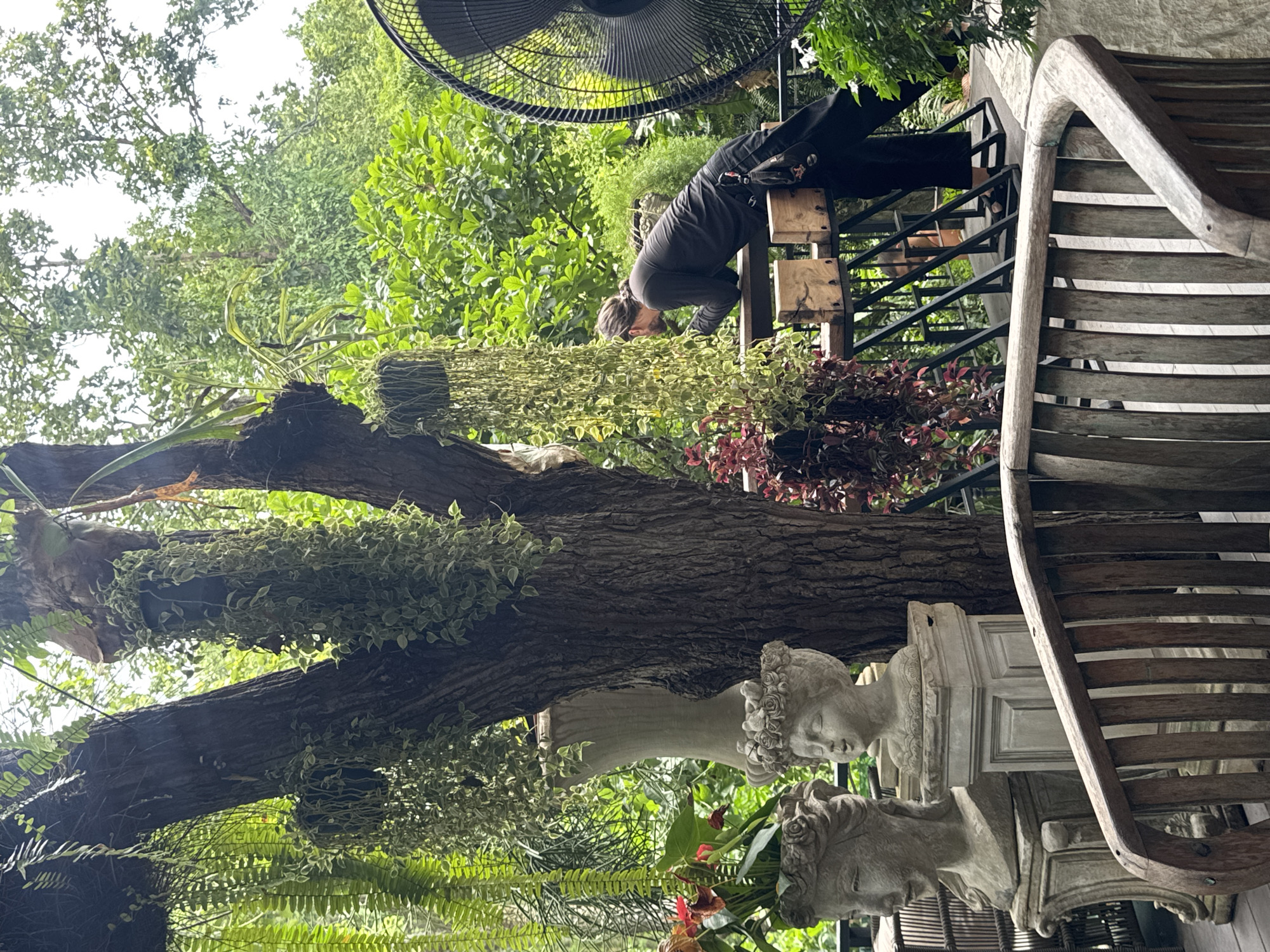 The image captures an outdoor scene in Suthep, Thailand, characterized by lush greenery and a relaxed atmosphere. In the foreground, a curved wooden bench with vertical slats is positioned. To the left, two ornate stone busts, one of a woman with flowers in her hair and another of a young girl, rest on pedestals. A large, weathered tree trunk dominates the mid-ground, adorned with hanging plants and ferns. A person wearing dark clothing, with their hair tied back, leans over a railing in the mid-ground, appearing to observe something beyond the frame. Wooden blocks are placed on the railing. To the far right, a large, black industrial fan stands against a backdrop of dense green foliage. The overall environment suggests a garden or an outdoor seating area, possibly a cafe or restaurant, with a focus on natural elements and decorative statuary.