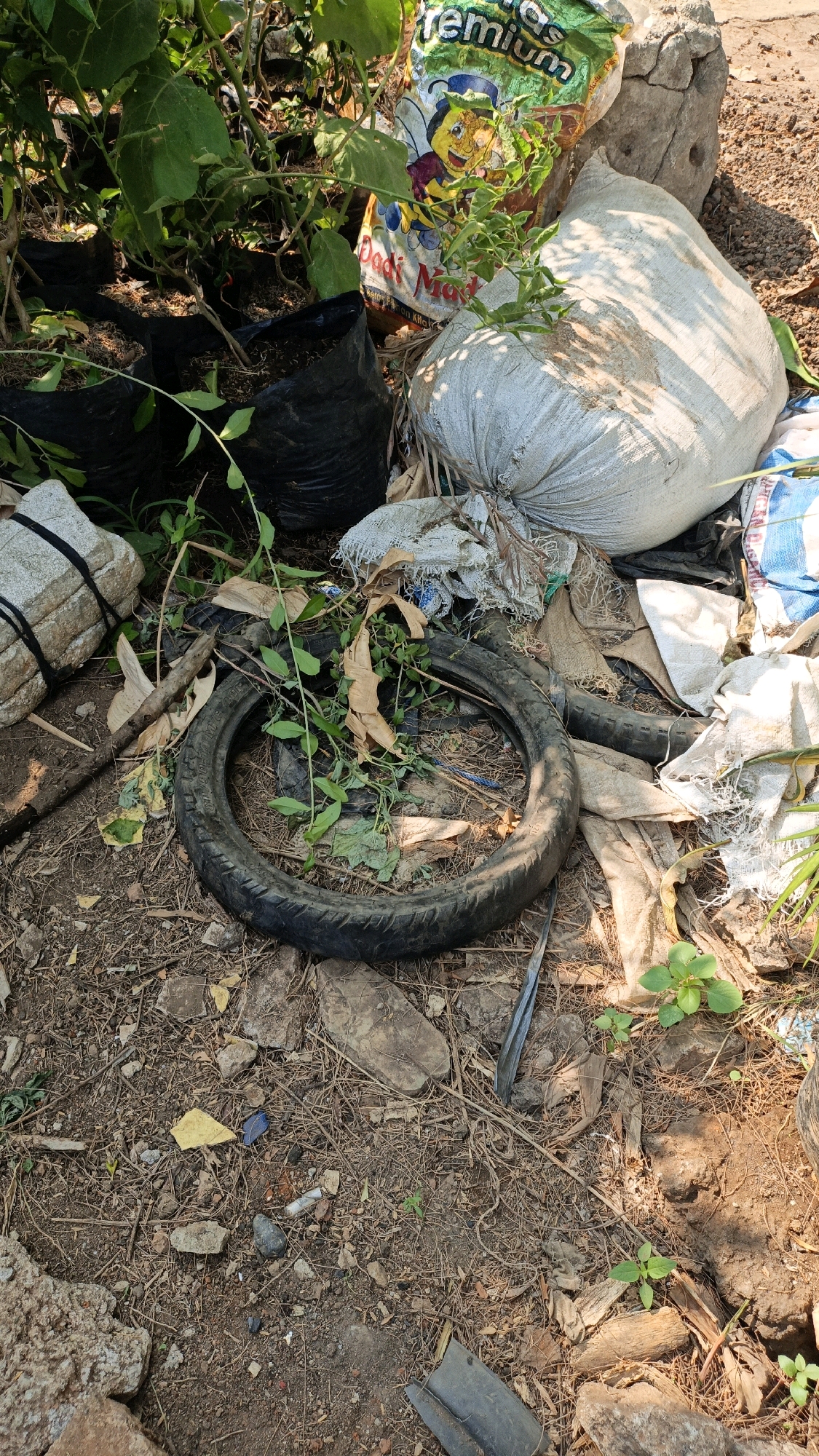 The image captures an outdoor scene of discarded items on dry, dusty ground, consistent with a location in Cikal, Indonesia. The debris includes a worn motorcycle tire, several black plastic bags filled with soil or refuse, and a large, irregularly shaped white sack. Interspersed among these are fragments of white cloth, dried leaves, and small green plants that have begun to grow amongst the refuse. A patterned bag with an illustration of a bee and the word "premium" is also visible. The ground is covered with a mixture of dirt, small stones, dried pine needles, and larger pieces of broken concrete or rock. The lighting suggests it is daytime, with shadows indicating a strong light source.