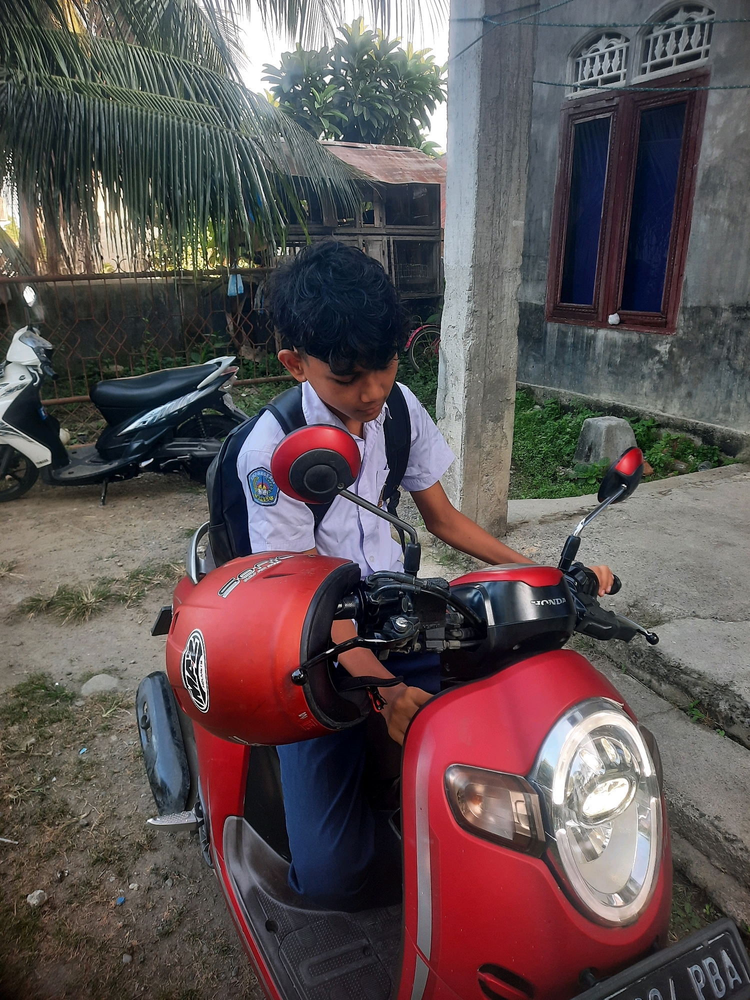Memory