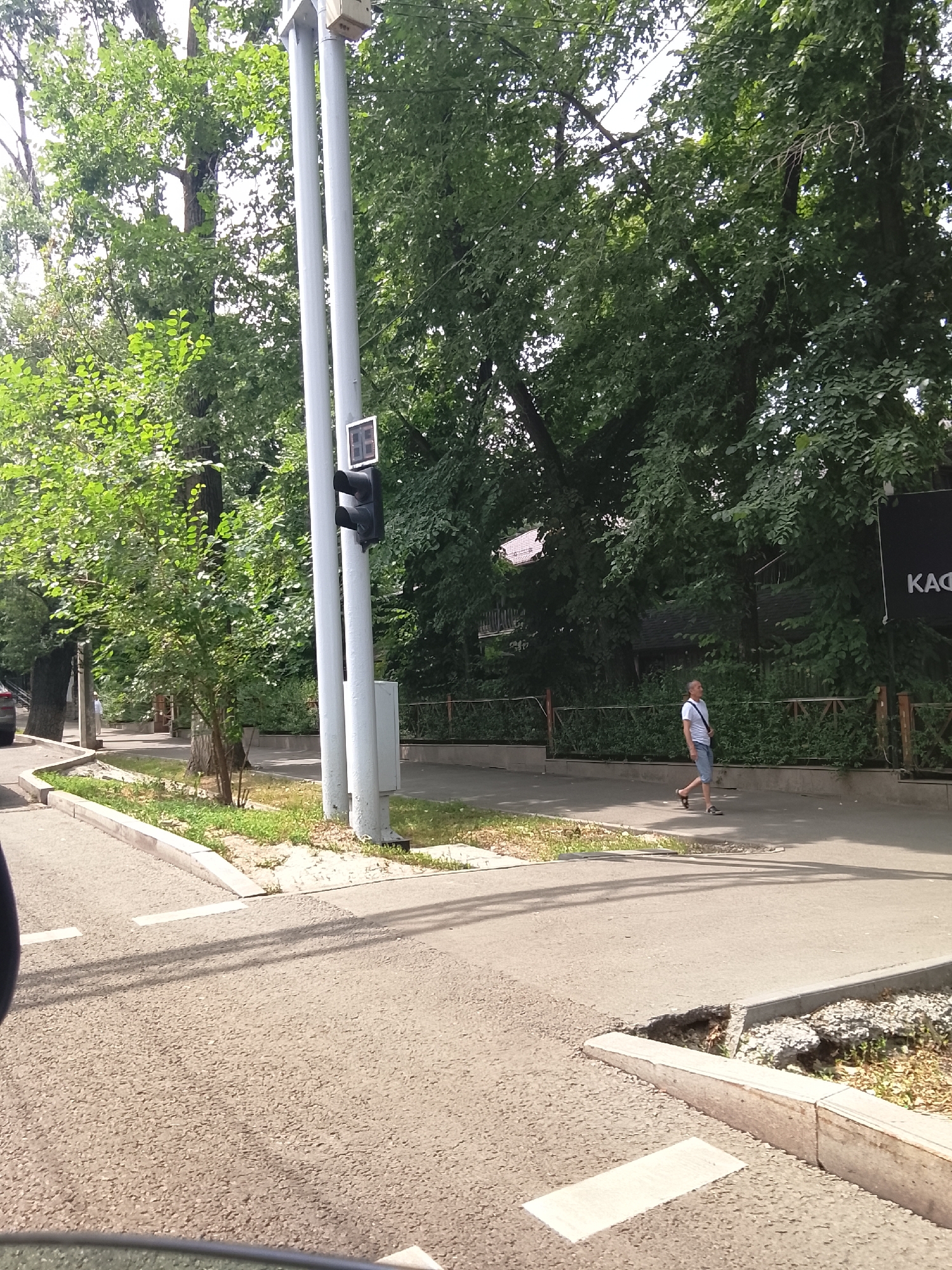 The image depicts a street scene in Almaty, Kazakhstan, dominated by lush green trees lining a sidewalk and street. A tall, dual-post traffic signal stands prominently, equipped with a digital display showing "88" and a black traffic light unit. To the right of the traffic signal, a person walks along the sidewalk, wearing a white t-shirt and blue shorts, carrying a dark bag over their shoulder. Further down the sidewalk, a dark sign with white Cyrillic lettering, partially obscured by leaves, is visible on the right edge of the frame. The street is paved with asphalt, and a concrete curb separates the road from a grassy and gravelly area. Shadows suggest a sunny day. The perspective appears to be from a vehicle looking forward.