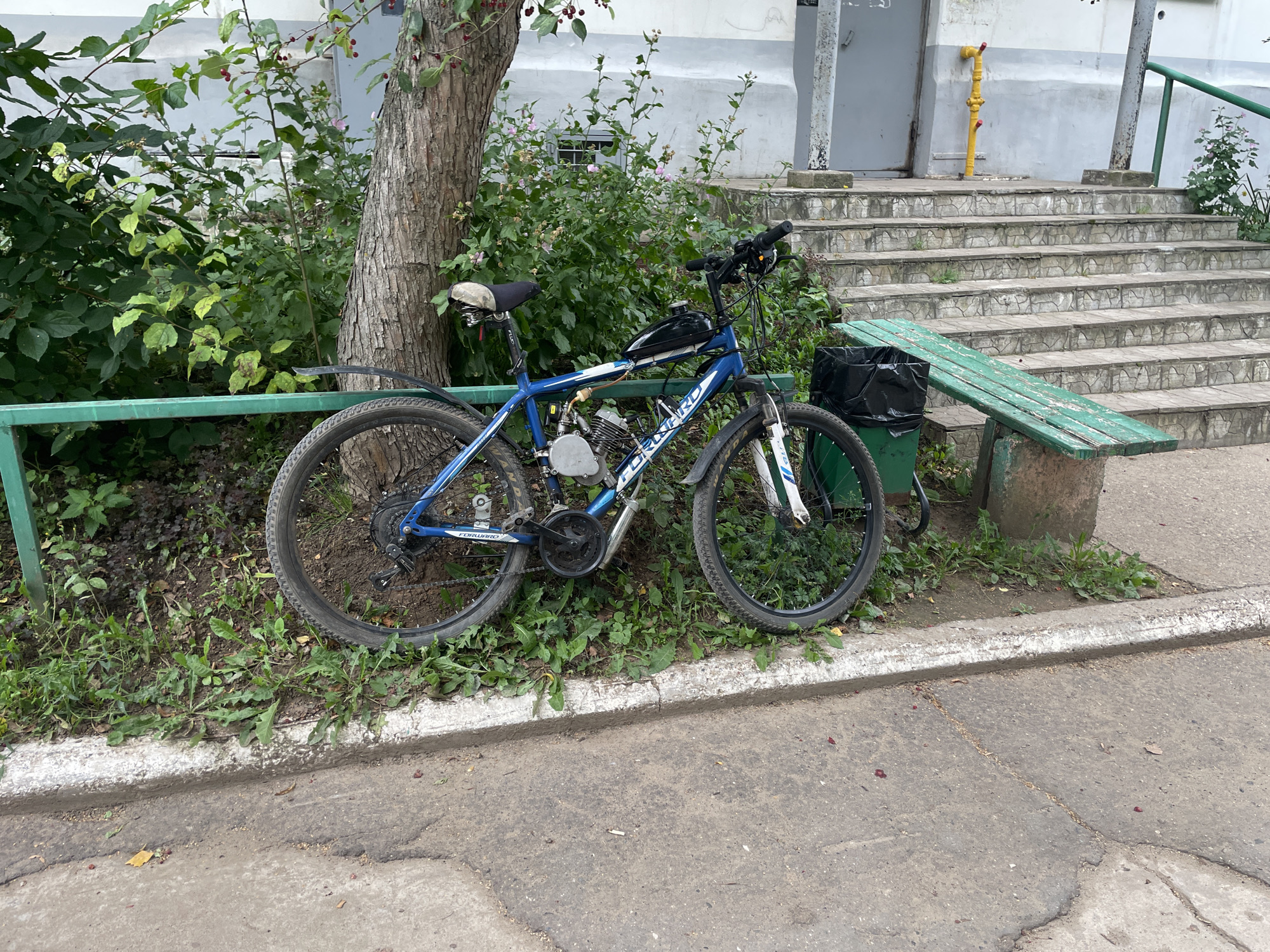 An outdoor, daytime scene depicts a blue motorized bicycle parked on a patch of grass next to a tree. The bicycle has a black fuel tank mounted above the frame and a small engine located between the pedals and the rear wheel. The bicycle is leaning against a green metal fence. In the background, there is a concrete staircase leading up to a building entrance. A green wooden bench with peeling paint sits to the right of the stairs, with a black trash bag placed on it. Vegetation, including trees and bushes, surrounds the bicycle and the building. The pavement in the foreground is cracked and weathered. The scene appears to be in a residential area of Chaikovsky, Russia.