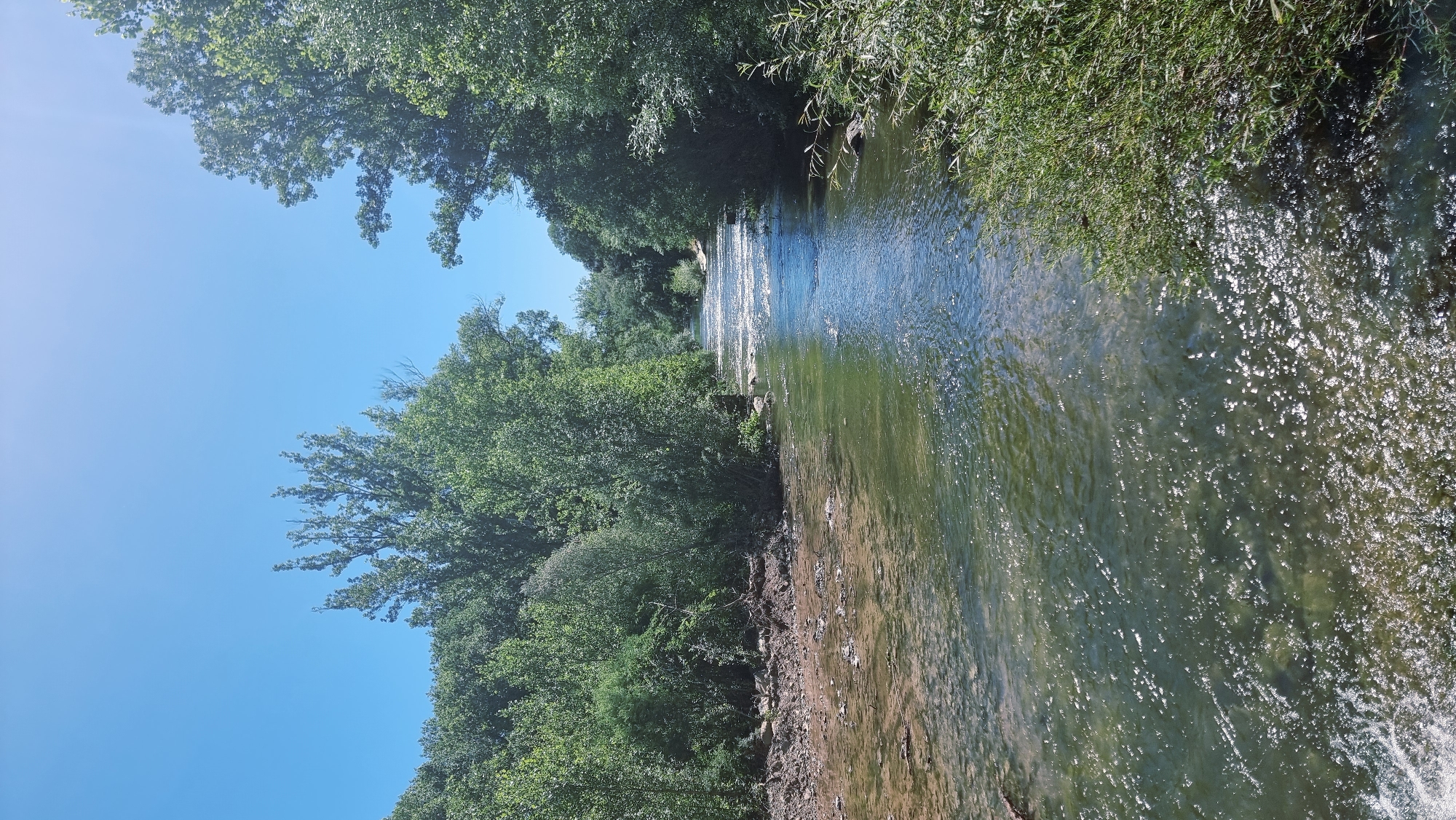 The image depicts a river flowing through a wooded area under a clear blue sky. The river is relatively wide with clear water that appears to have a rocky or sandy bottom in some areas. Sunlight reflects off the surface of the water, creating a shimmering effect. The banks of the river are lined with dense green foliage, with trees and bushes dominating the landscape. On the left bank, there is an area of exposed earth and rocks, suggesting a drier section of the bank. The river flows from the background towards the foreground and appears to be moving at a moderate pace with some small rapids visible. The scene conveys a sense of a natural, undeveloped environment. The specific location in Montagut i Oix, Spain, is not visually identifiable from the image alone.