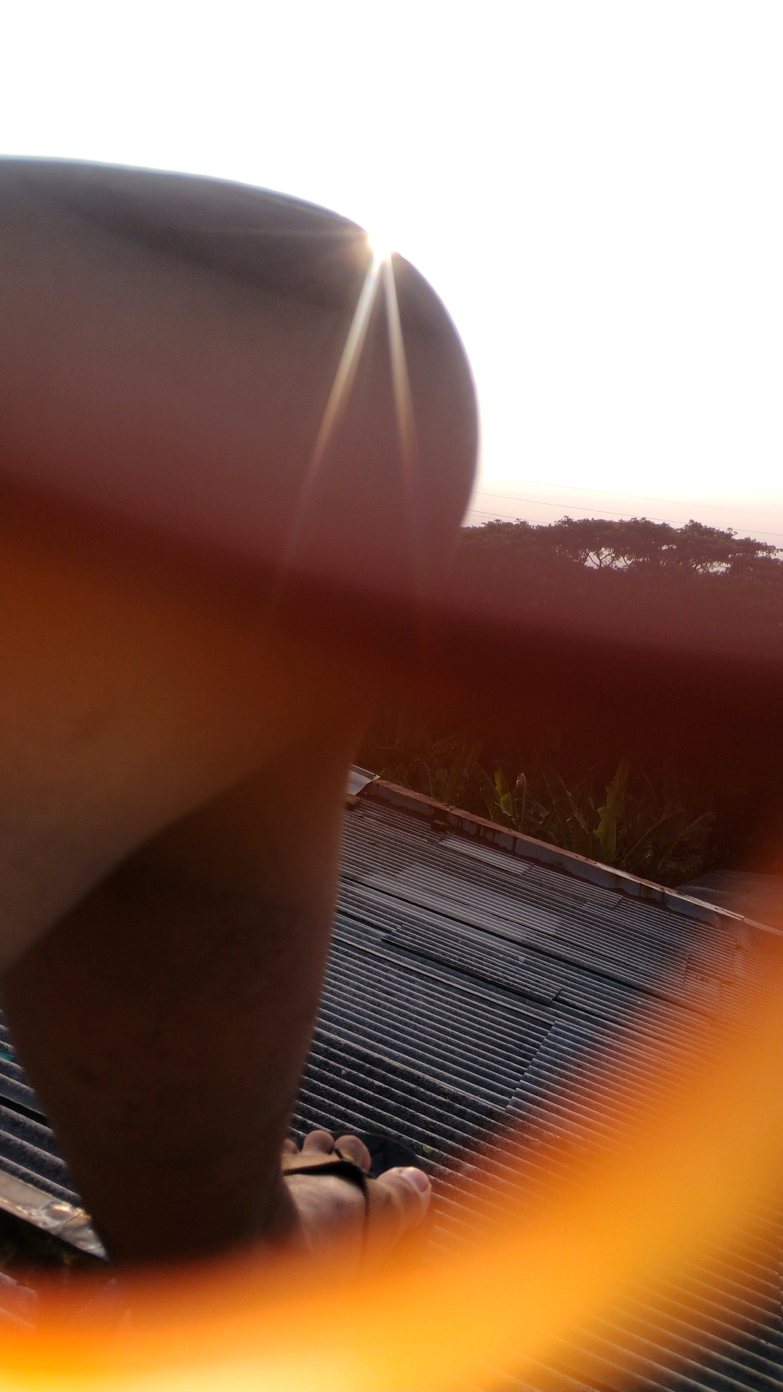 The image shows a close-up of a person's leg and foot, wearing black flip-flops, standing on a corrugated metal roof. The leg is partially obscuring the view of the surroundings. In the background, the sun is setting behind a line of trees, casting a warm glow. Some vegetation, possibly banana plants, is visible below the treeline. The overall scene suggests an outdoor setting, likely in a rural or semi-rural area. The angle of the shot, with the leg dominating the foreground and the obscured view, hints that the photograph might have been taken by the person themselves. The lighting and the presence of a roof and vegetation suggest it is a residential area. Based on the provided location, this scene is situated in Gumpang, Indonesia, where such roofing materials and vegetation are common in residential areas, especially during sunset.