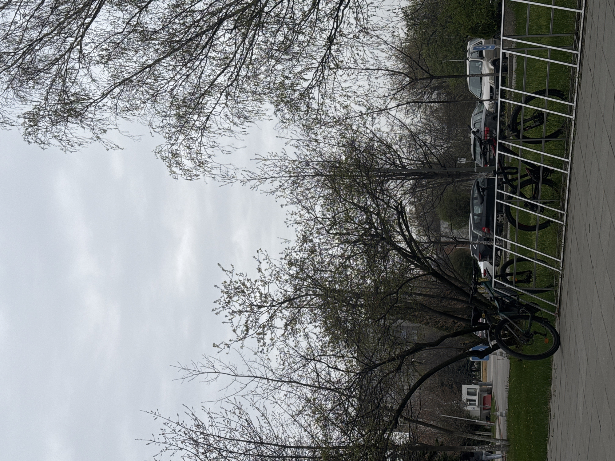 The image shows a bicycle rack along a paved sidewalk on an overcast day. The rack contains several bicycles, and cars are parked in the background. Bare trees line the scene. The location is likely Sofia, Bulgaria, based on the buildings and landscape features.