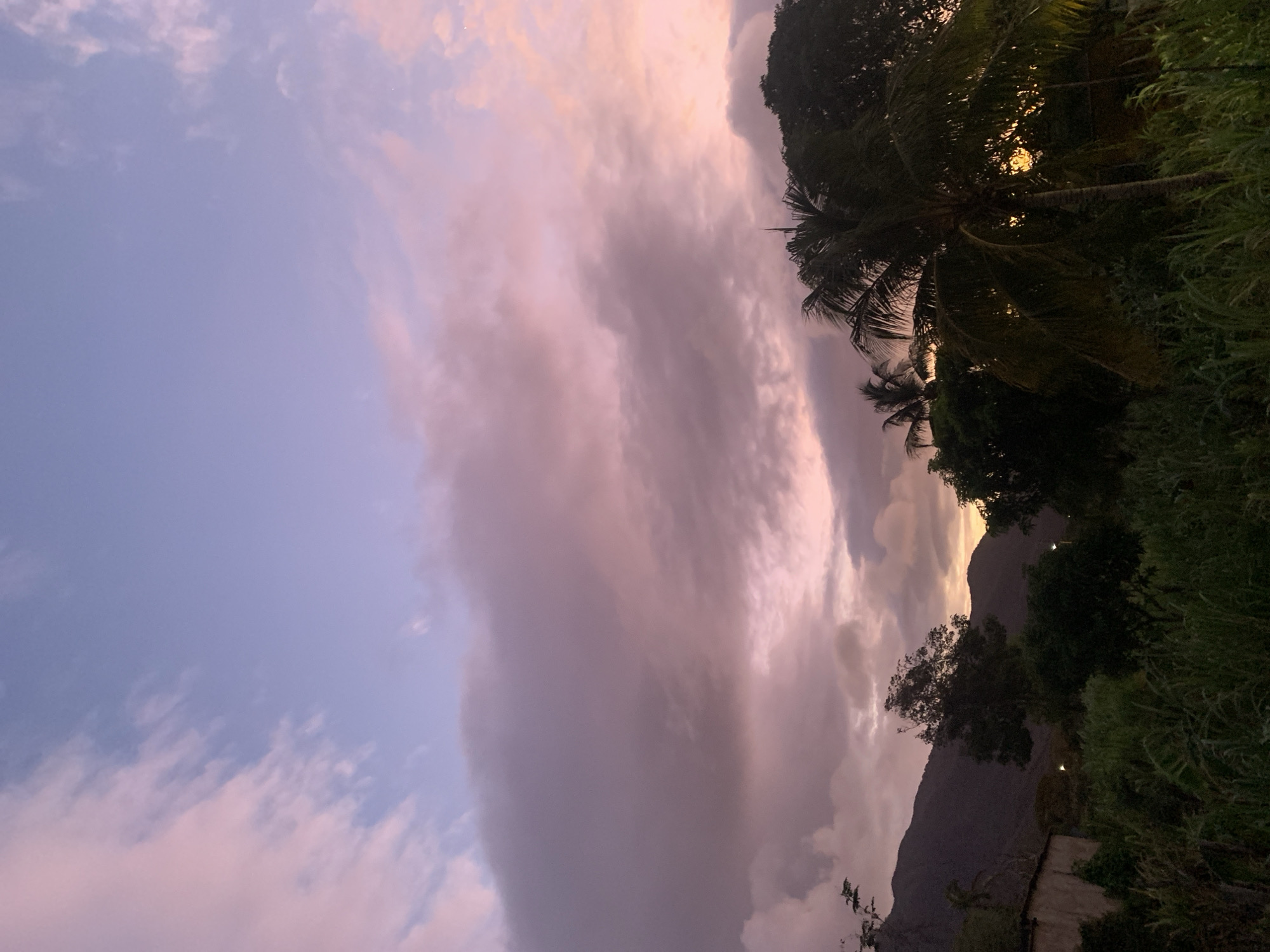 This image depicts a serene and colorful landscape, captured during what appears to be sunset or sunrise, with the warm hues strongly suggesting the former. The scene is dominated by a vast sky, filling the majority of the frame, adorned with a dramatic display of clouds. These clouds are painted in soft, diffused shades of pink, purple, and light blue, indicating low-angle sunlight illuminating their undersides and edges.
On the right side of the frame, dense tropical vegetation, including prominent palm trees and other lush foliage, forms a dark silhouette against the vibrant sky. A bright, golden-orange glow, indicative of the setting sun, peeks through the canopy of these trees. In the background, dark, rolling mountains or hills are visible, their forms silhouetted against the pastel-colored sky. A small, indistinct concrete structure or wall can be partially seen at the very bottom edge, nestled among the vegetation near the mountains.
The overall atmosphere is tranquil and picturesque, showcasing the natural beauty of a tropical or subtropical environment during the "golden hour." No people or specific activities are visible, and there is no discernible text in the image. The scene conveys a sense of peacefulness characteristic of an evening or early morning view in a mountainous region like San Sebastián, Venezuela.