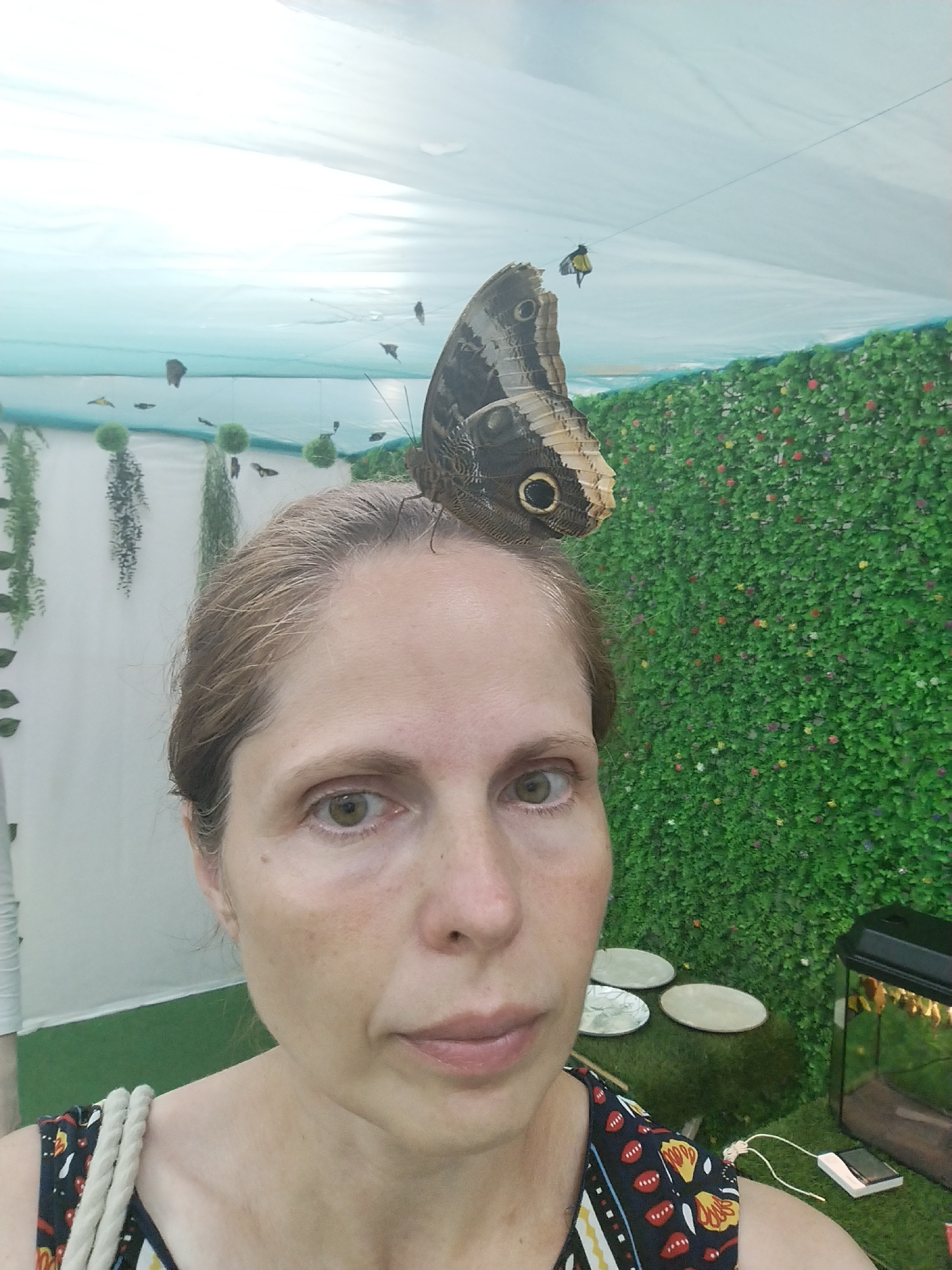 The image shows a woman with a large butterfly perched on her head. The woman is taking a selfie. The background appears to be an indoor enclosure designed to mimic a natural environment, with artificial green foliage covering the wall and some hanging plants. There are also plates on the ground and a small aquarium visible. The woman is wearing a colorful patterned top with rope straps. The scene does not suggest any specific location within the city of Tyumen, Russia, or any other city.