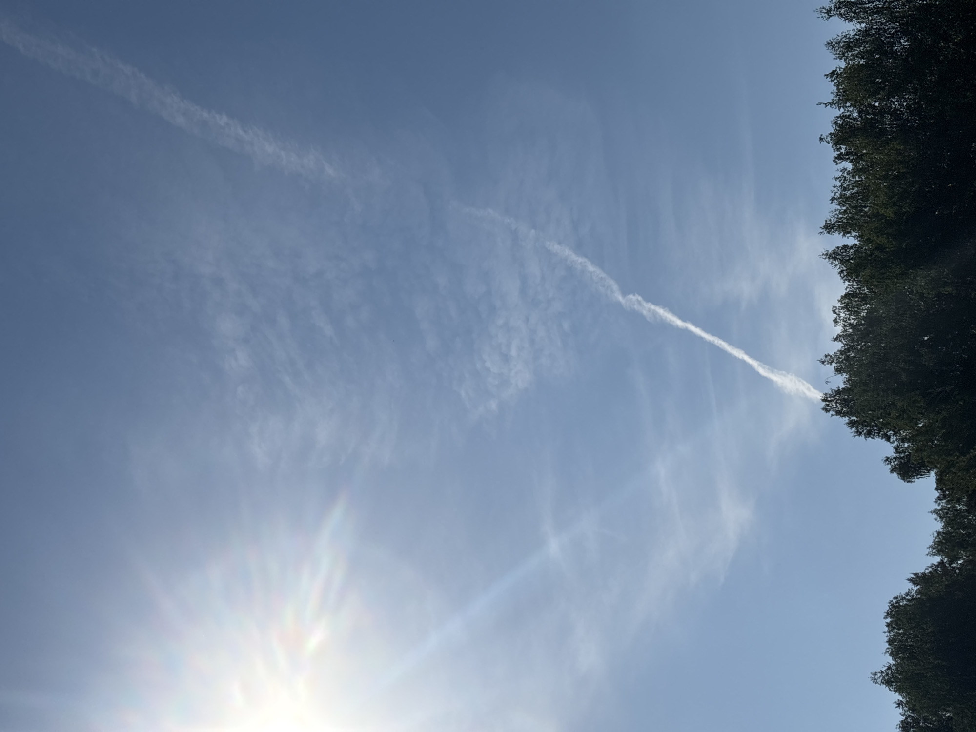 The image shows a blue sky with some thin, wispy clouds and a contrail running diagonally across the frame. The sun is visible in the lower left corner, casting rays of light upward. Along the right edge of the frame, there is a line of dark green trees. The location in the city of Chaikovsky, Russia is not provided.