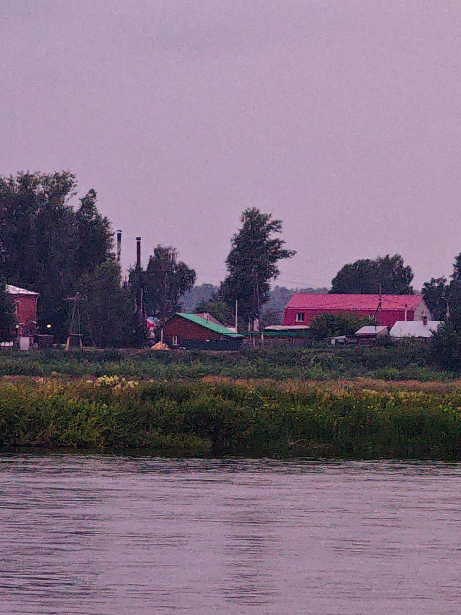The image captures a waterfront scene in the city of Kazachinskoe, Russia. In the foreground, a body of water with rippling surfaces reflects the overcast sky. Behind the water, a dense line of green foliage runs horizontally across the frame. In the midground, several buildings are visible amidst trees. To the left, a red brick building with a white trim stands next to a wooden structure. Further to the right, two smokestacks rise above the trees, suggesting an industrial presence. Adjacent to them, a red-roofed building with a green roof and a red-walled building with a prominent red roof are situated. The sky is a uniform pale purple, indicating either dawn, dusk, or cloudy weather. No people are present in the image. The overall impression is one of a rural or semi-industrial settlement near a body of water.