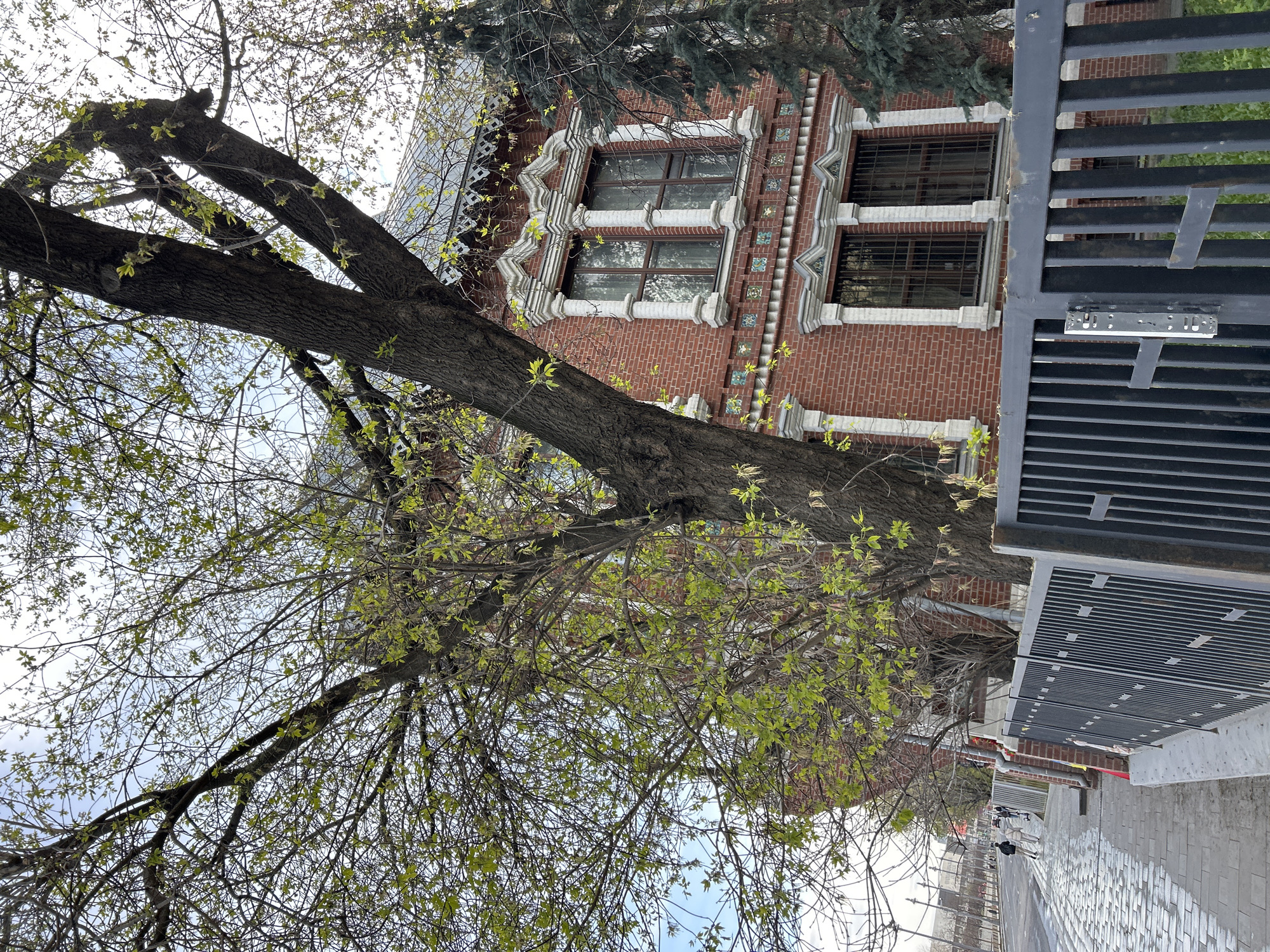 The image shows a tree in the foreground with a brick building behind it. The building has decorative white trim around the windows and roof. A black metal fence is visible on the right side of the image. The location is a street in an unknown city. Pedestrians can be seen in the background walking on the sidewalk.