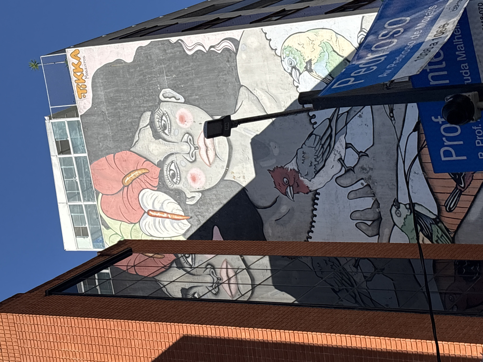 The image shows a mural on the side of a building in São Paulo, Brazil. The mural features a large, stylized portrait of a woman with dark, wavy hair adorned with large red and white flowers. Below her face, there are drawings of birds. To the left of the mural, a portion of a red brick building with large reflective windows is visible, reflecting a part of the mural, including the woman's face. A street lamp with the number "125" on it stands in front of the mural, casting a shadow. Two blue street signs are also present. The top sign reads "Pedroso" and "Av. Pedroso de Morais". The bottom sign partially reads "Prof" and "uda Malher". The sky is clear and blue.