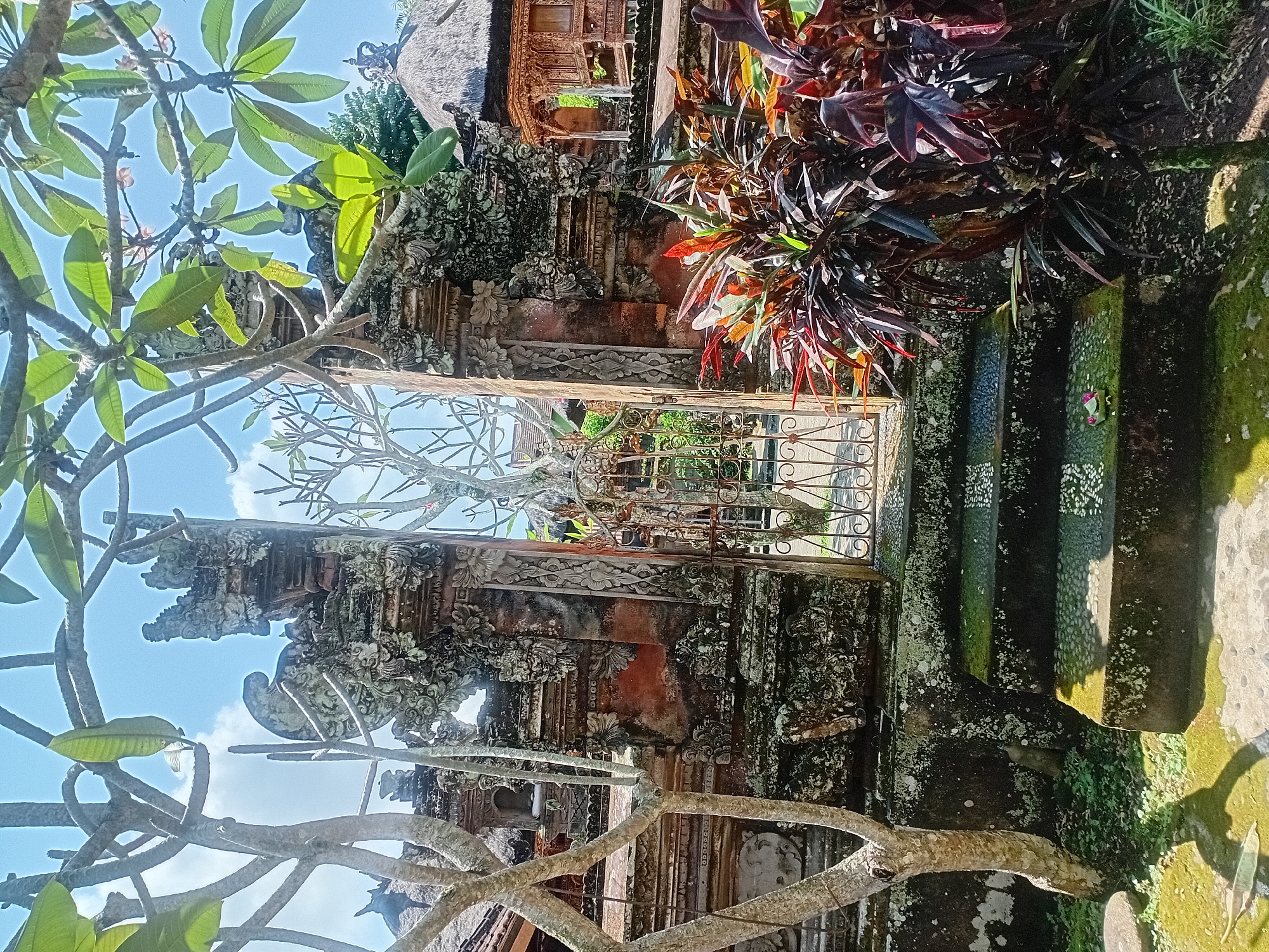 A weathered, ornate stone gateway stands open, revealing a lush garden beyond. The gateway is adorned with intricate carvings, some of which are overgrown with moss. A set of moss-covered stone steps leads up to the gateway, with a small, colorful offering placed on one of the steps. To the right of the gateway, vibrant, leafy plants with red and purple foliage add a splash of color. In the background, a traditional Balinese building with a thatched roof and intricate wooden architecture is visible. The scene is framed by the branches of a tree with green leaves and a bright blue sky with scattered clouds. This appears to be a scene within a temple complex in Ubud District, Indonesia.