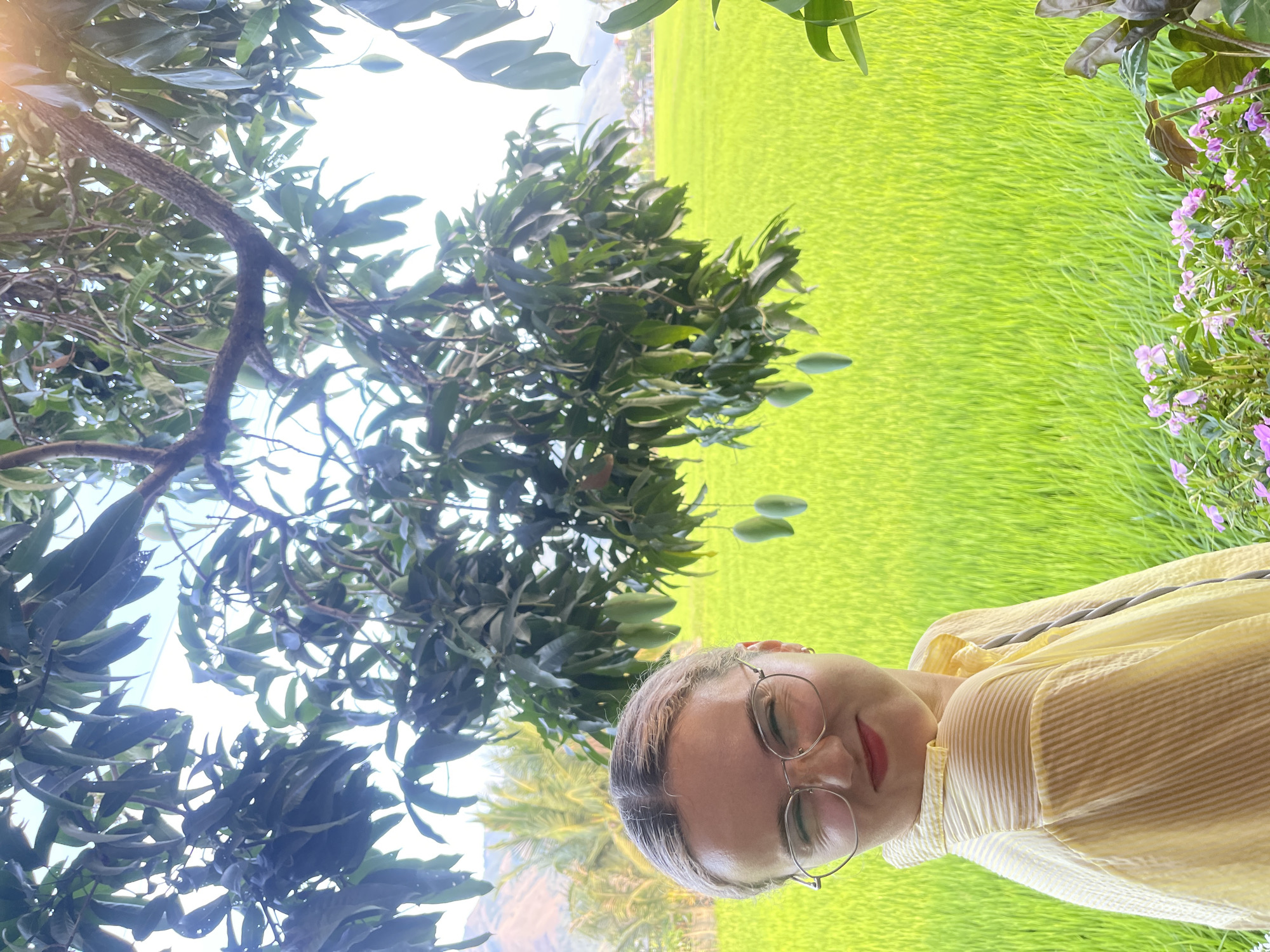 An outdoor portrait captures a person in a vibrant natural setting, likely in Diên Khánh, Vietnam. The image is oriented with the person's head on the bottom right and the landscape extending upwards. Re-oriented, the person is on the right side of the frame, facing slightly left, with their head tilted. They have short, light-colored hair, wear round eyeglasses, and a yellow striped collared shirt. Their eyes are closed or nearly closed, and they wear reddish lipstick, conveying a calm or contemplative mood.
To the left of the person, a large tree with dark green foliage and several light green, unripe mangoes hanging from its branches dominates the midground. The tree's sturdy trunk and branches are visible. Beyond the tree and behind the person, a vast, lush green field, characteristic of rice paddies, stretches into the distance under a bright sky. In the far background, distant mountains and scattered palm trees are visible, indicating a rural or semi-rural environment. On the far right edge of the frame, a cluster of small purple flowers adds a touch of color. The bright light and slight lens flare suggest a sunny daytime setting. There is no visible text in the image.