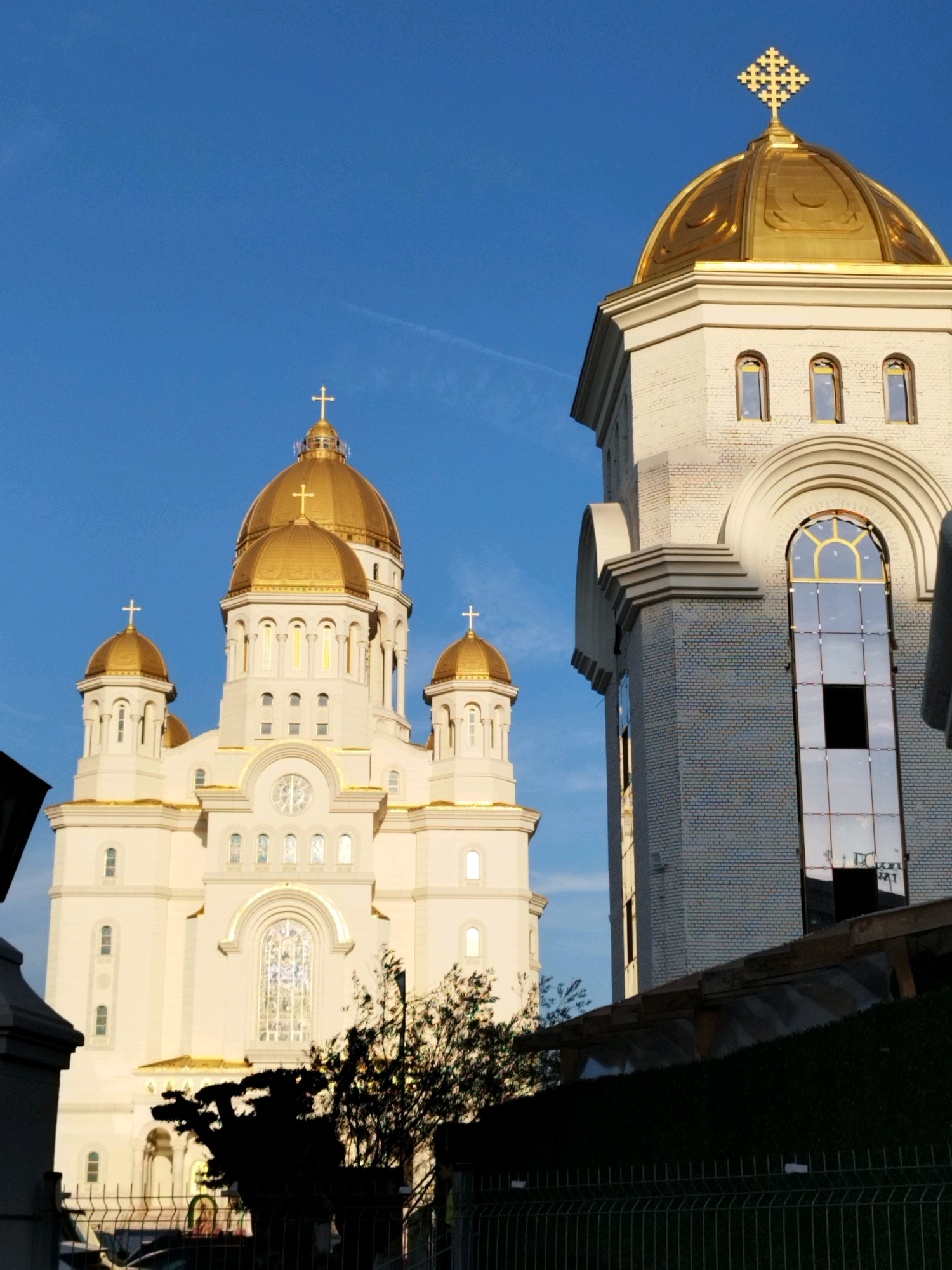 The image shows the Metropolitan Cathedral in Bucharest, Romania, a large white Orthodox church with golden domes, under a clear blue sky. To the right of the main cathedral is a tall bell tower, also with a golden dome topped with a cross. The bell tower is constructed of light-colored bricks and features a large, arched window with reflective glass panes. The main cathedral has multiple domes, arched windows, and ornate architectural details. In the foreground, a dark silhouette of trees and a fence partially obscure the view of the cathedral and bell tower. The lighting suggests it is either early morning or late afternoon.