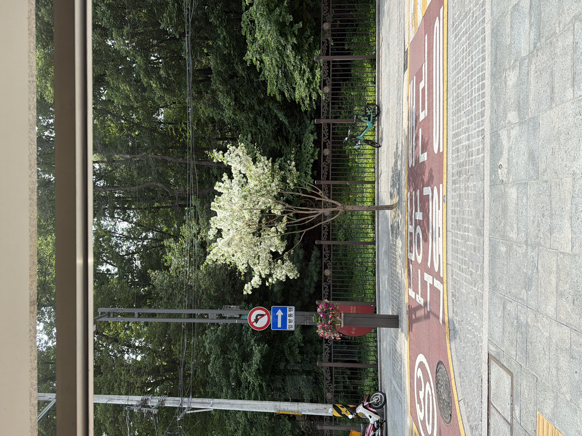 The image depicts an urban street scene, likely in Seoul, South Korea, viewed from an elevated or slightly offset perspective. A sidewalk runs along the right side of the frame, marked with a painted bicycle lane featuring Korean text and the number "30" in a white circle. A metal fence separates the sidewalk from a green space containing a variety of trees, including a tree with white blossoms. A bicycle is leaning against the fence. A street sign with a "no left turn" symbol and a blue sign with an upward arrow and Korean text is mounted on a post. A motorcycle is parked along the curb. The overall environment appears to be a blend of urban infrastructure and natural elements.