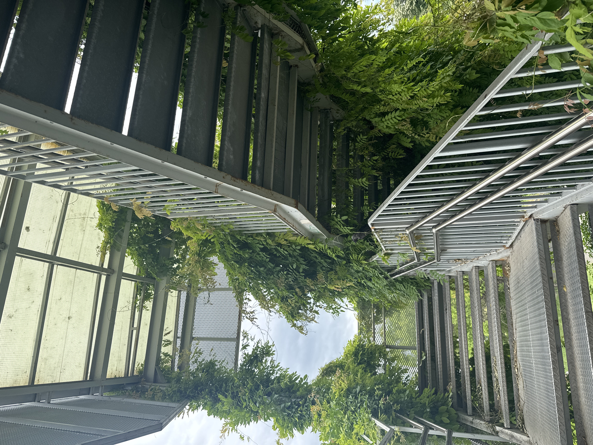 The image shows an outdoor metal staircase winding upwards, partially obscured by lush green foliage. The stairs appear to be made of diamond plate metal for grip, with sturdy metal railings on either side. A translucent roof structure covers part of the staircase. The scene is set in a natural environment, with trees and vegetation visible in the background. There are no people or animals present in the image. This staircase is located at the Sea Garden in Burgas, Bulgaria, specifically at the "Bridge of Sighs" which offers panoramic views of the Black Sea.