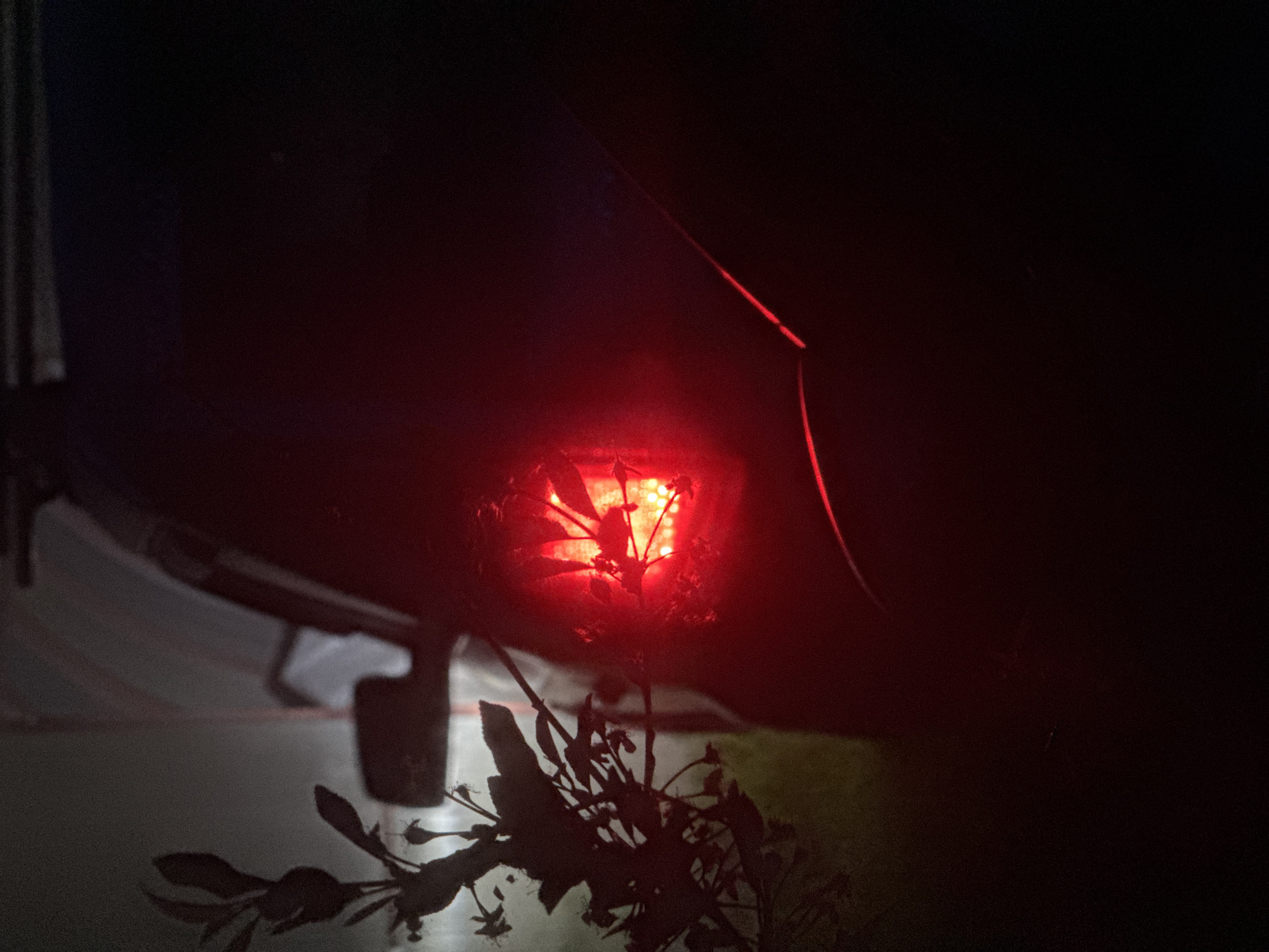 The image depicts a dimly lit scene at night. In the foreground, silhouetted foliage is visible against a red light source emanating from what appears to be a vehicle's tail light. The tail light is partially obscured by the foliage. The vehicle itself is only partially visible, with its dark blue exterior contrasting with the bright red light. To the left, a white or light-colored tent or structure is partially visible. The environment is dark, with minimal ambient light. Location cannot be verified from image alone.