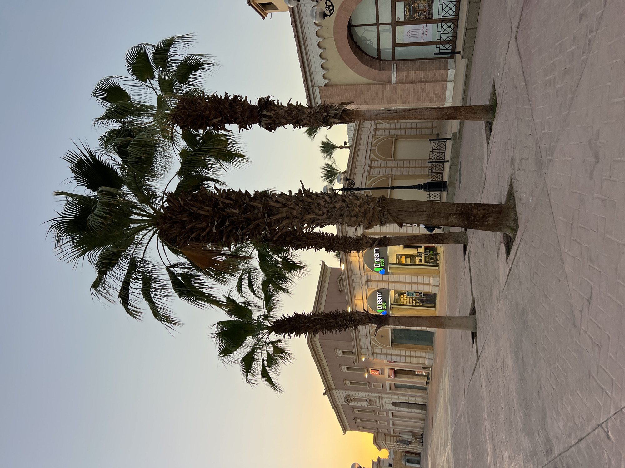 The image depicts a paved pedestrian walkway lined with shops and palm trees in Sharm El Sheikh, Egypt. The architecture suggests a modern commercial area, possibly a resort or shopping district. In the background, two-story buildings with light-colored facades and classical architectural elements are visible. Several shops are present, with illuminated signs, including one that reads "Dream 2000." Palm trees, characteristic of the region, are strategically placed along the walkway, some with their trunks clearly visible. The sky is clear with a soft gradient of color, indicating either dawn or dusk. The lighting suggests it is either early morning or late evening, with the ambient light casting a warm glow on the scene. The pavement is made of interlocking bricks or pavers. There are no people clearly visible in the foreground or midground, suggesting a quiet period. The overall impression is one of an inviting outdoor commercial space in a warm climate.