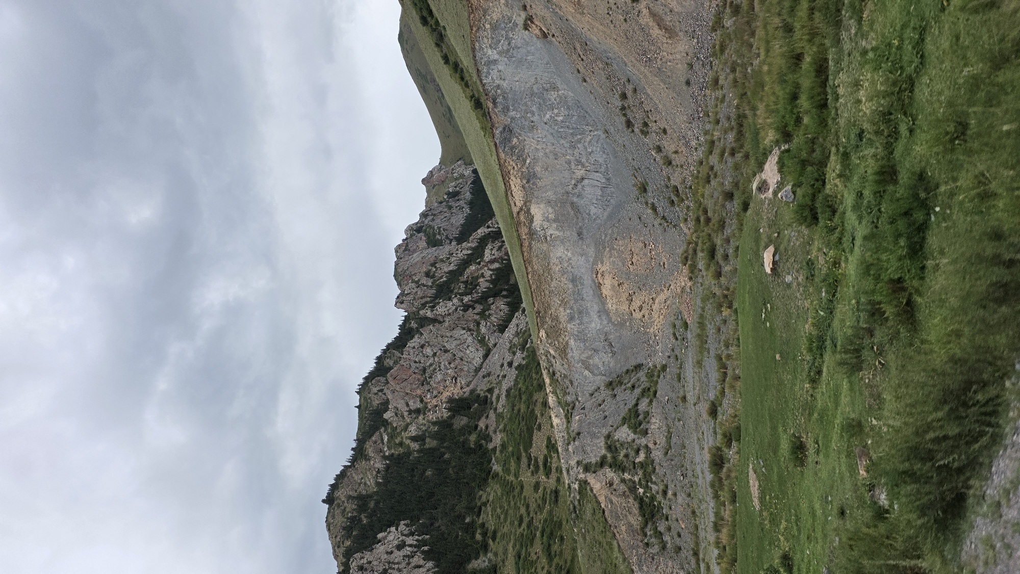 The image depicts a mountainous landscape under a cloudy sky. The foreground is a grassy plain with some scattered rocks and low-lying vegetation. Behind the plain, a steep, rocky slope rises, characterized by exposed rock faces and patches of greenery. Further up, a mountain range is visible, featuring rugged peaks covered with trees and rocks. The overall scene suggests a natural, undeveloped environment.
