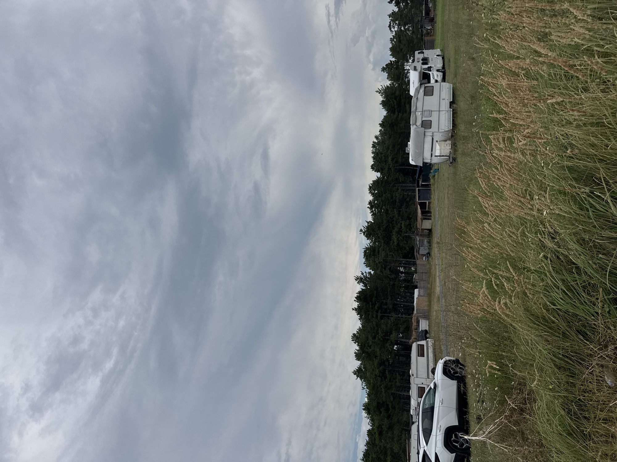 The image depicts an overcast day at a caravan park situated near a dense forest. In the foreground, tall, dry grass and some wildflowers are visible. A white SUV is parked on the left side of the frame. Further back, several caravans and a motorhome are parked in a grassy field. The background is dominated by a thick line of dark green evergreen trees. The sky is filled with dramatic, streaky grey clouds. The scene appears to be located in an open area on the outskirts of Sozopol, Bulgaria, a coastal town known for its natural beauty and historical sites.