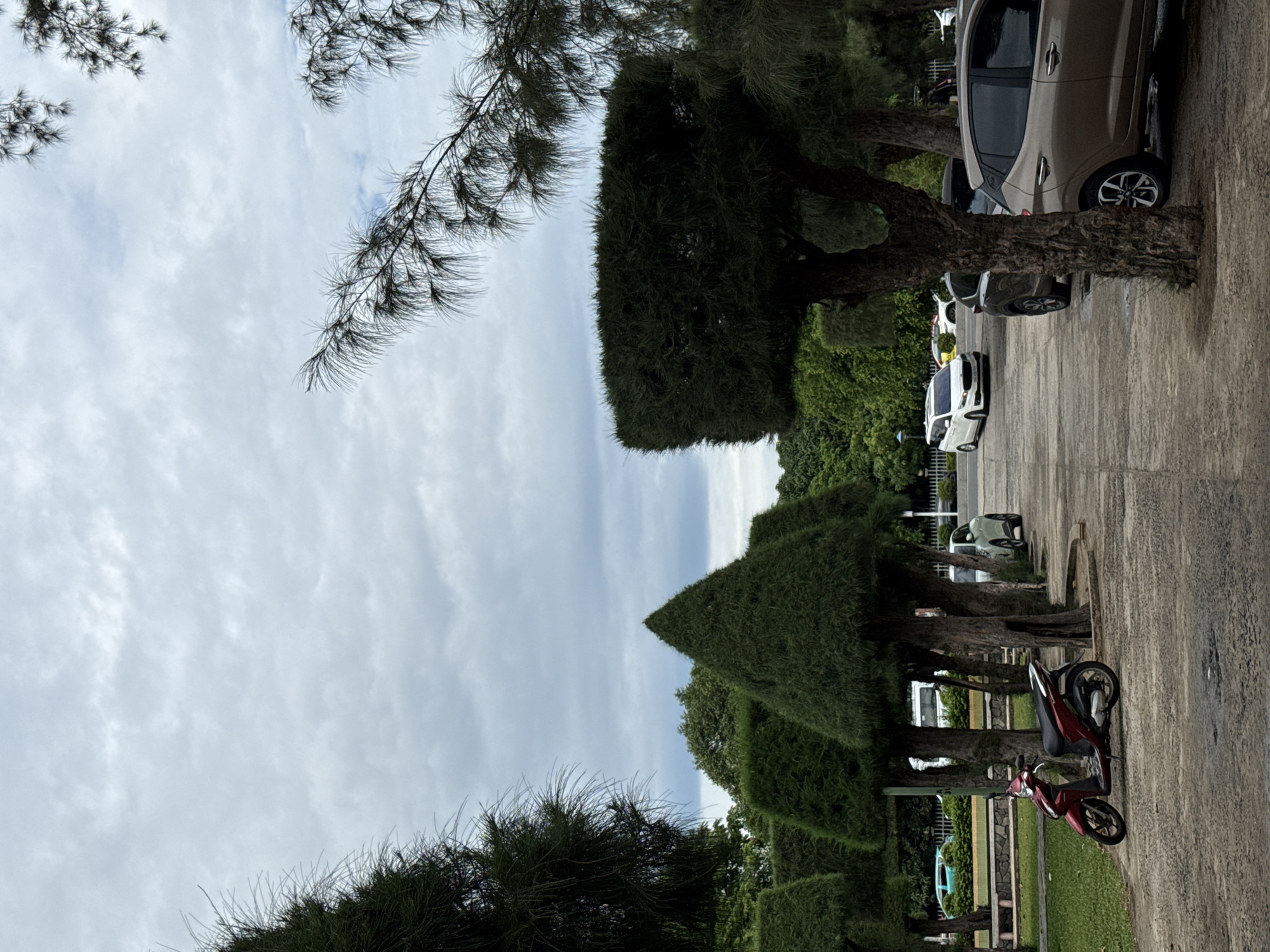 This image depicts an outdoor parking area adjacent to a green space in Nha Trang, Vietnam. In the foreground, a red scooter is parked on a concrete pathway. Behind the scooter, a row of trees with meticulously trimmed, conical and boxy canopies are visible. Further back, several cars are parked, including a beige hatchback, a dark SUV, a white minivan, a white sedan, and a light green sedan. The area is lined with more trees and foliage, and a fence is discernible in the background. The sky is overcast with grey clouds.