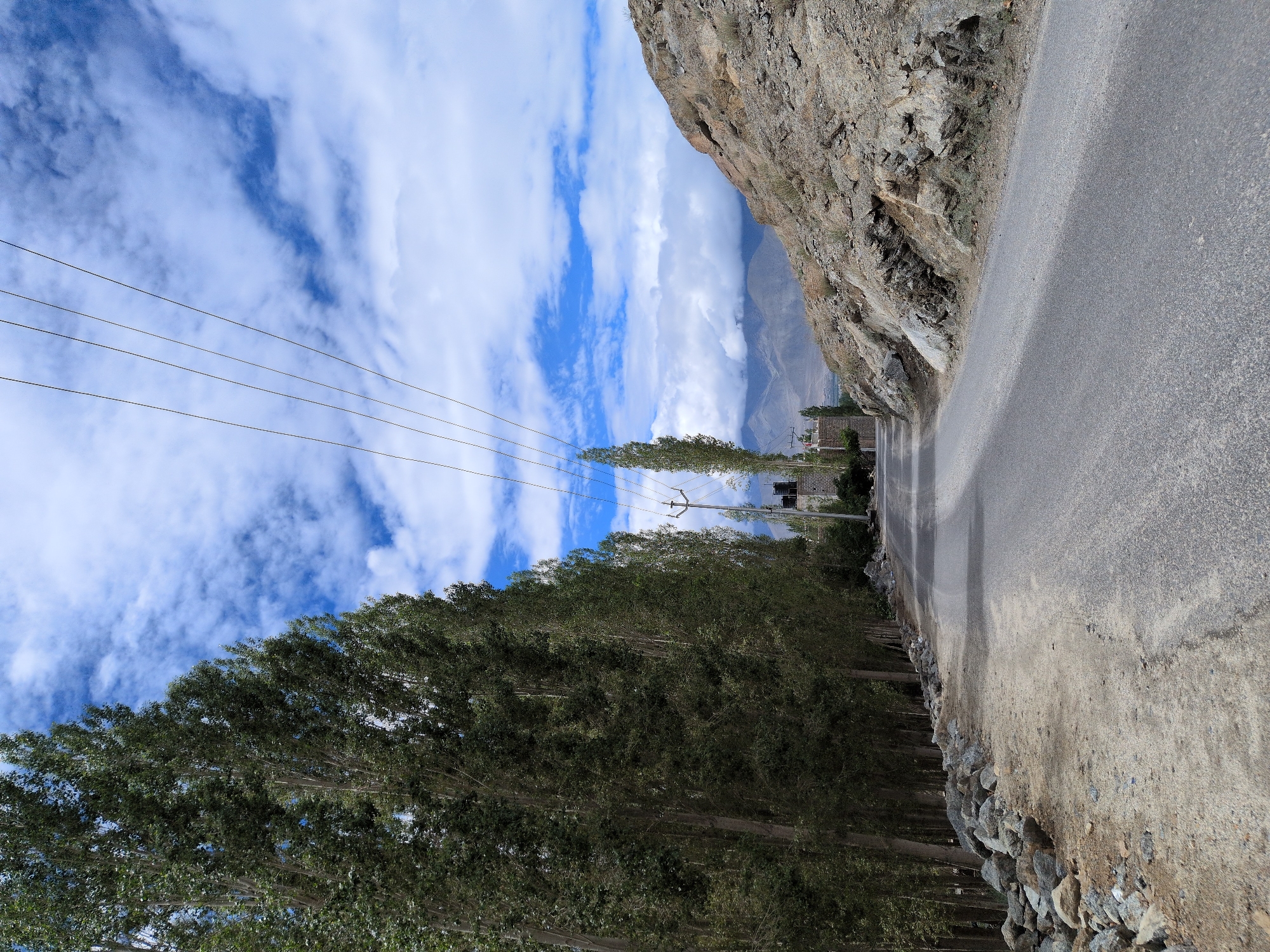The image depicts a road curving through a landscape with a row of tall, slender trees on the left and a rocky incline on the right. Overhead, power lines traverse a sky filled with white clouds against a blue backdrop. In the distance, mountains are visible, partially obscured by clouds. A small cluster of buildings and a water tank are nestled among the trees. The road surface appears to be asphalt, with a gravel and stone-lined shoulder on the left. The overall scene suggests a semi-arid, mountainous region, consistent with the geography of Leh, India. There are no people or animals visible in the image.