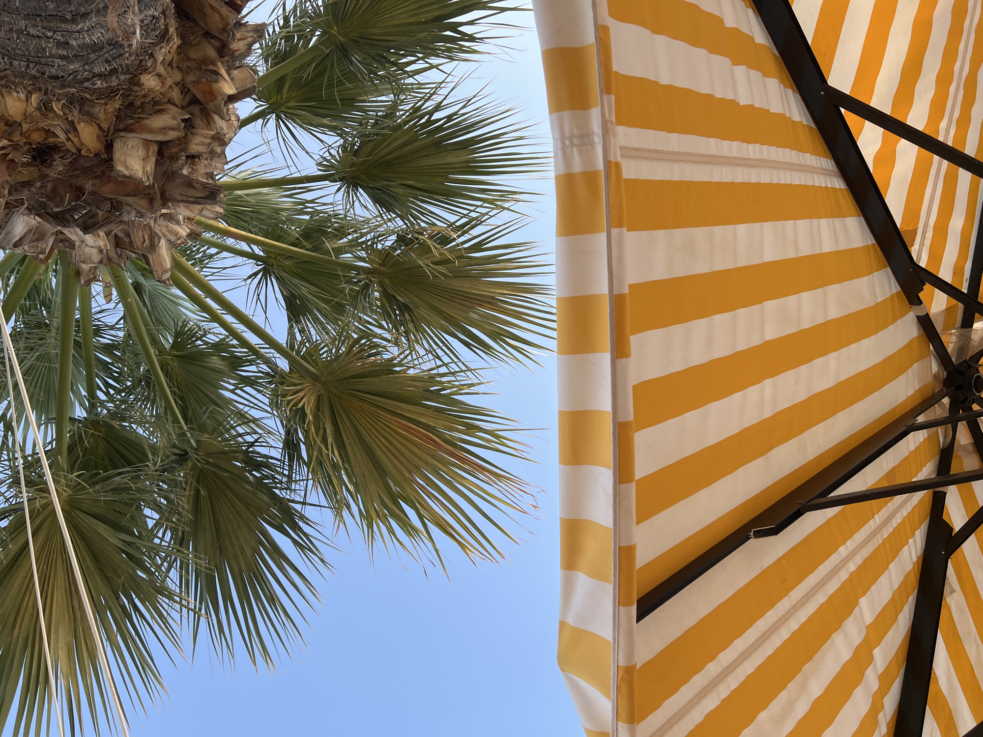 A low-angle shot captures a striped yellow and white awning with a visible metal frame against a clear blue sky. Above the awning, the fronds of a palm tree extend from the trunk, which is visible at the top right of the frame. The scene is set in Eretria, Greece.