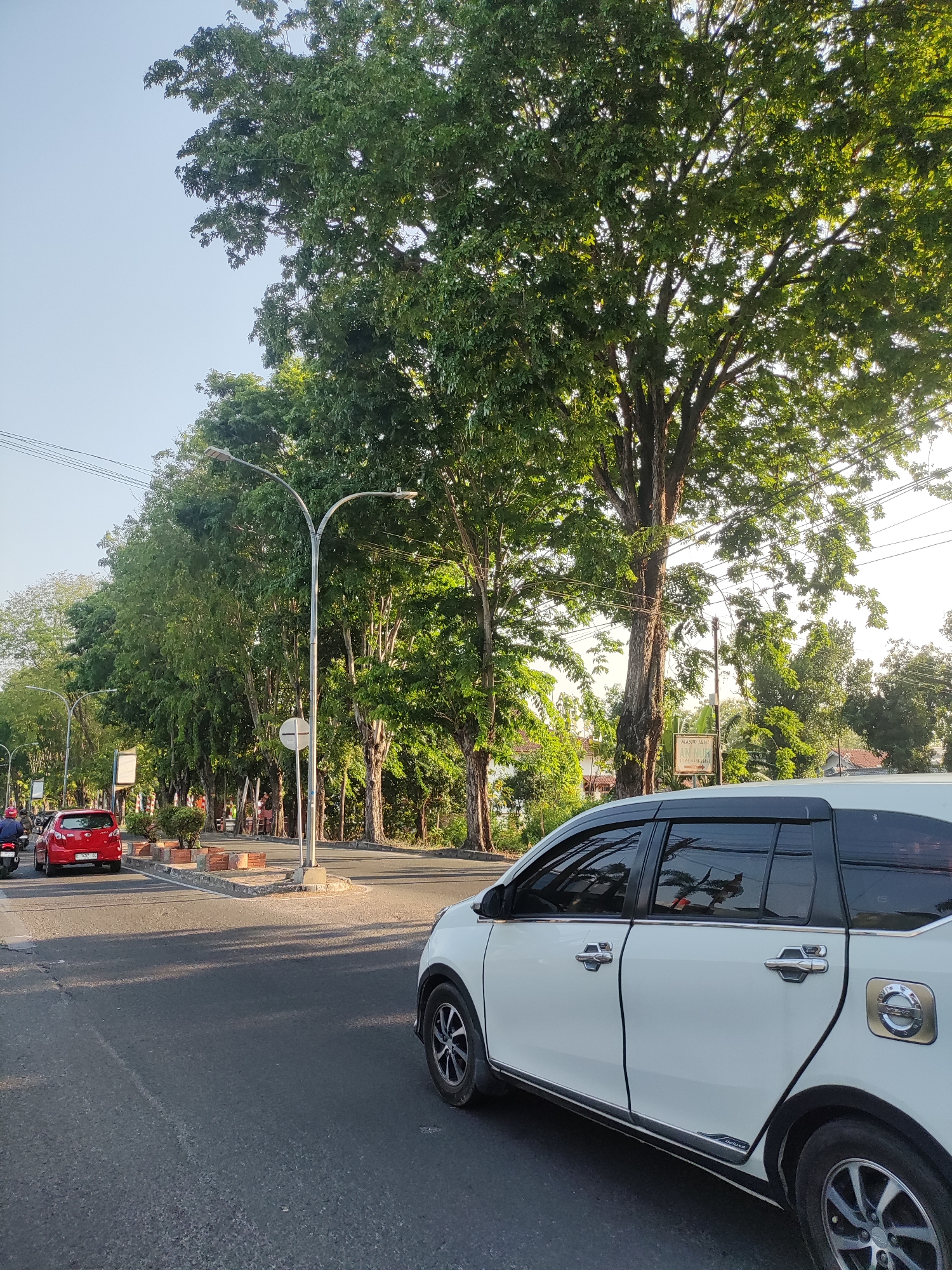 The image depicts a street scene in Cirebon, Indonesia, characterized by a row of mature trees lining the left side of the road, casting dappled shadows on the asphalt. A white car, partially visible on the right, is moving away from the camera. Further down the road, a red car is seen in the left lane. The sky is clear and bright, suggesting it is daytime, likely late afternoon due to the warm lighting. Streetlights are present along the roadside. A signpost with a circular white sign is visible on the left side of the road. In the background, more trees and some buildings can be observed, indicating a semi-urban or suburban environment. The road appears to be a multi-lane thoroughfare.