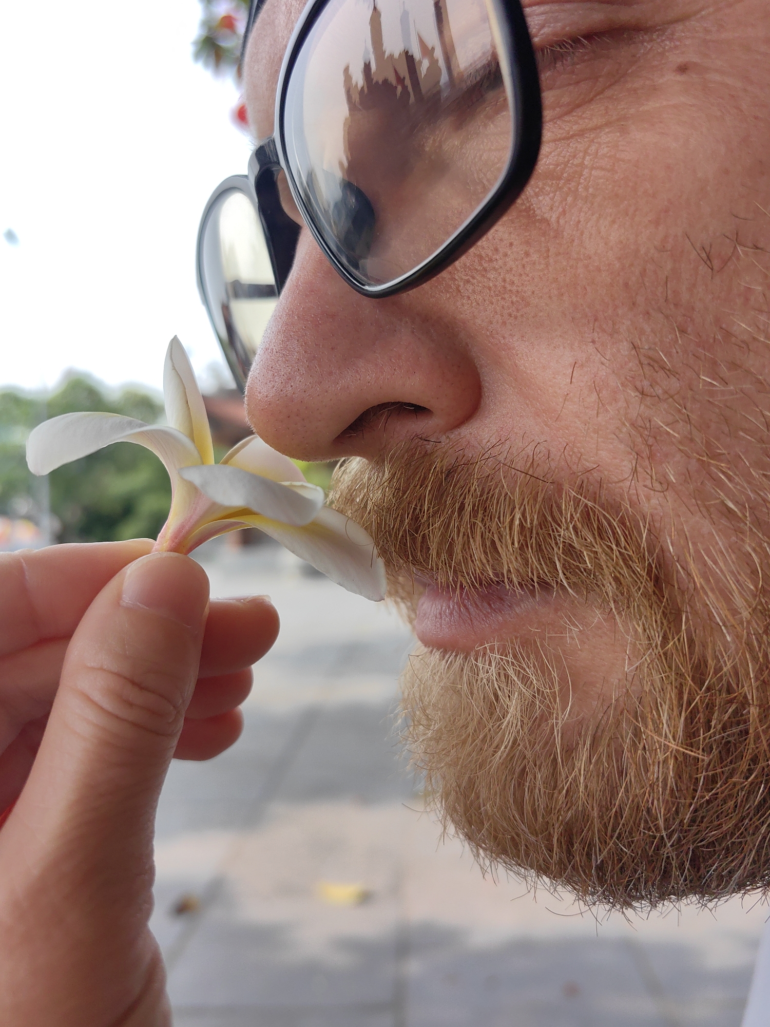 A close-up, profile shot captures the right side of a man's face as he smells a frangipani (Plumeria) flower. The man has a reddish-blond beard and mustache, and his skin shows light stubble. He wears black-framed sunglasses, and a reflection of ornate, possibly religious, Asian architecture – appearing to be a temple or pagoda – is visible in the right lens. His left hand gently holds the base of the white and yellow frangipani flower up to his nose, suggesting an act of appreciation or calm.
The background is softly blurred, indicating an outdoor setting, likely a street or public area. The bright lighting suggests it is daytime. The presence of the frangipani flower and the architectural reflection align with the provided location context of Hong Gai Ward, Vietnam, where such temples and flowers are common. No visible text is present in the image.