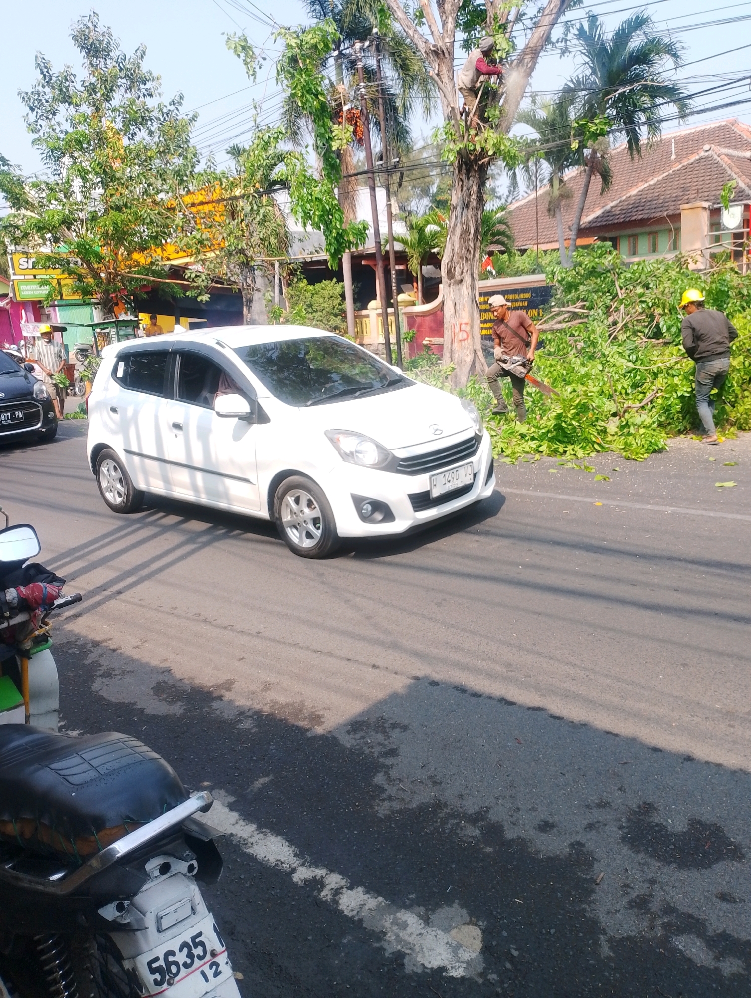 In Probolinggo, Indonesia, on a sunny day, two men are engaged in trimming a large tree near a residential area. One man, wearing a cap and a brown shirt, is using a chainsaw on the tree's branches, while another man in a yellow hard hat and dark jacket is clearing fallen branches from the ground. A white car is driving past the scene on the road, with a black car visible behind it. Several palm trees and a house with a red tile roof are in the background. The ground is paved, and there are some puddles of water on the asphalt. In the foreground, parts of two motorcycles are visible, suggesting a roadside location.