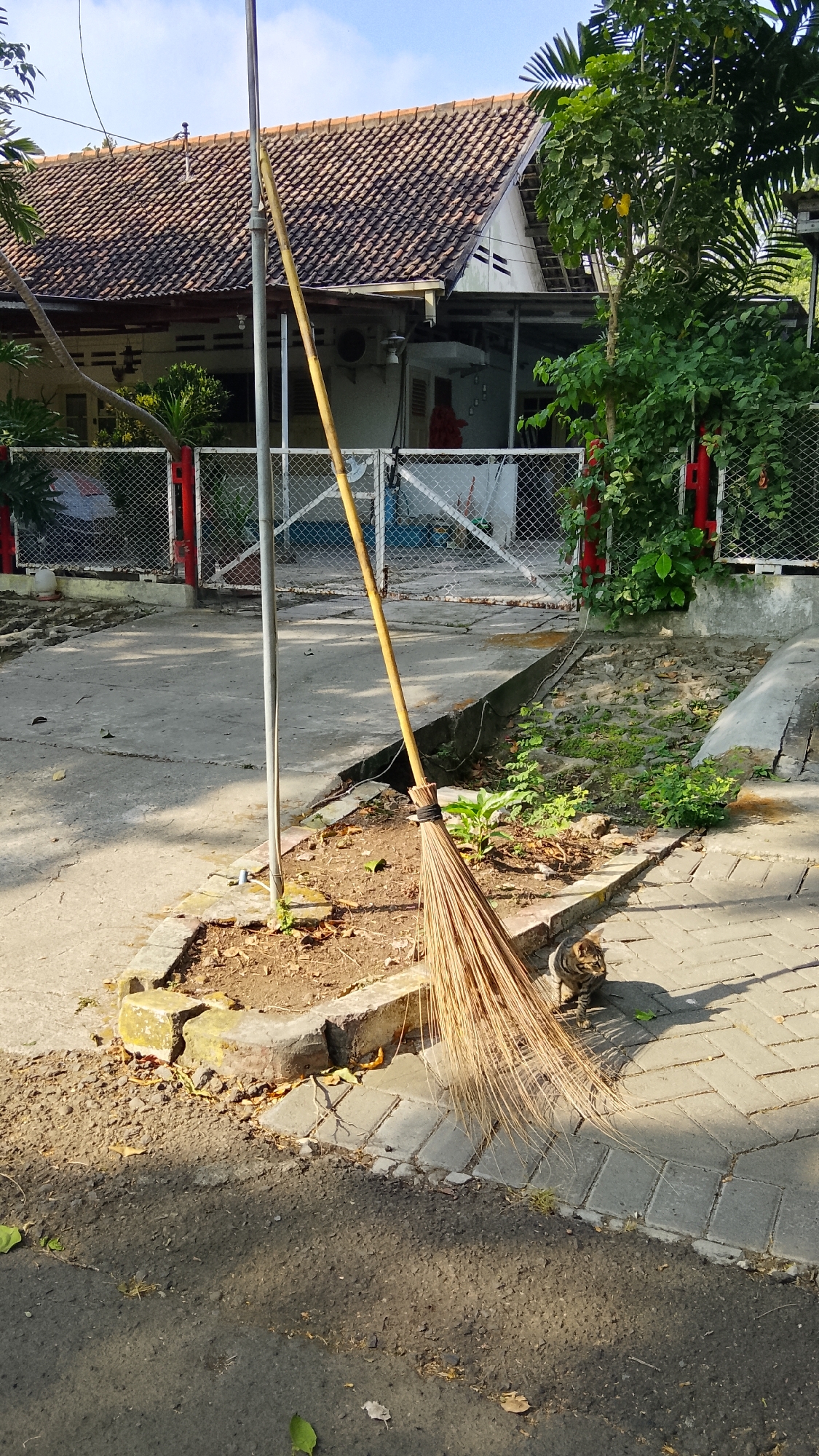 In Tlogobendung, Indonesia, an outdoor scene depicts a simple yard area. A broom, made of dried leaves and a wooden handle, leans against a metal pole. The pole is situated in a small patch of dirt and dry leaves, bordered by concrete. Adjacent to this, a paved walkway made of rectangular bricks runs horizontally. In the background, a single-story house with a tiled roof is visible. A chain-link fence encloses the yard, with red posts and white gates. Lush green foliage and trees surround the house and fence. The ground in front of the walkway is a rough asphalt surface. A tabby cat is positioned on the brick walkway, near the broom. The lighting suggests it is daytime, possibly late afternoon, with shadows cast across the scene.