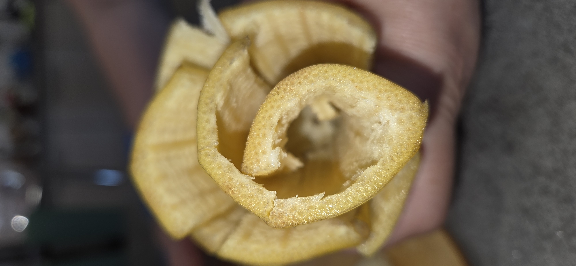 A close-up, macro shot shows a yellow, spiral-shaped object, possibly a peel or a curled piece of citrus fruit rind, held by a hand with pinkish skin in the foreground. The texture of the object is rough and porous, with visible striations. The background is blurred and dark, with hints of bokeh, suggesting an indoor setting. The image is devoid of any specific landmarks or context that would associate it with Lipetsk, Russia.