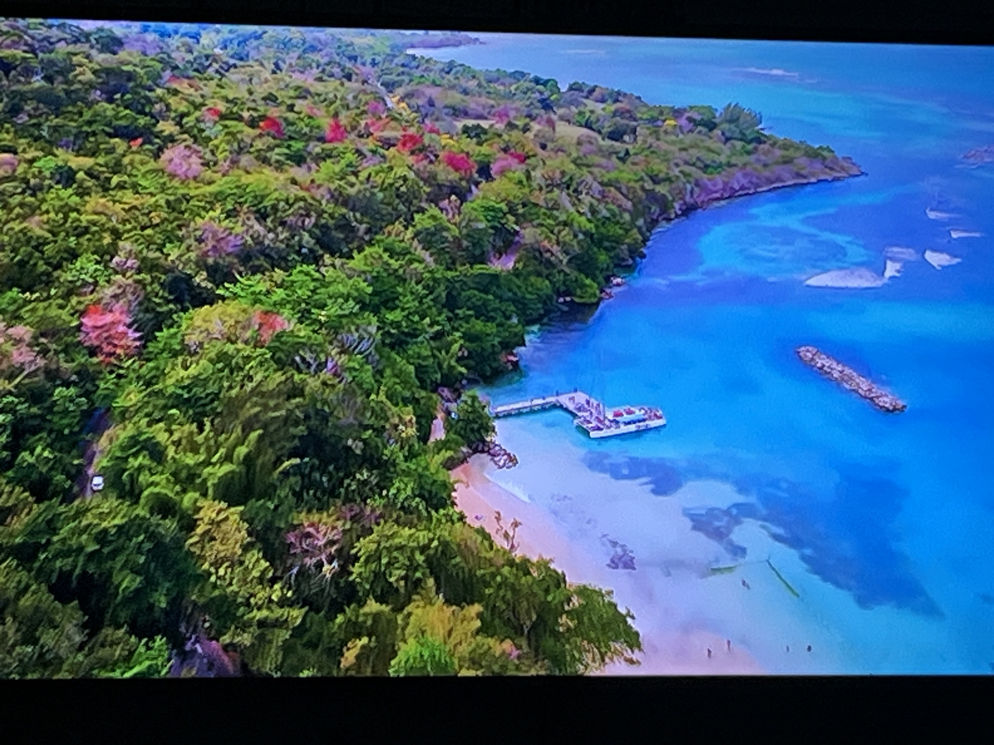 The image is an aerial view of a lush, tropical coastline with vibrant green foliage and a few scattered pink and purple flowering trees. The turquoise water is clear, revealing sandy shallows and some submerged rocks. A small white vehicle is visible on a dirt path winding through the trees on the left side of the image.
In the center of the image, a wooden pier extends from the shore into the water, with a white boat docked at its end. The beach is sandy and slopes gently into the sea. Further out in the water, a long, narrow breakwater made of rocks is visible. The sky is a bright, clear blue.
There is no indication that this scene is located in Kharkiv, Ukraine. The environment depicted is clearly tropical and coastal, which is not characteristic of Kharkiv, a city located in northeastern Ukraine and far from any coast.