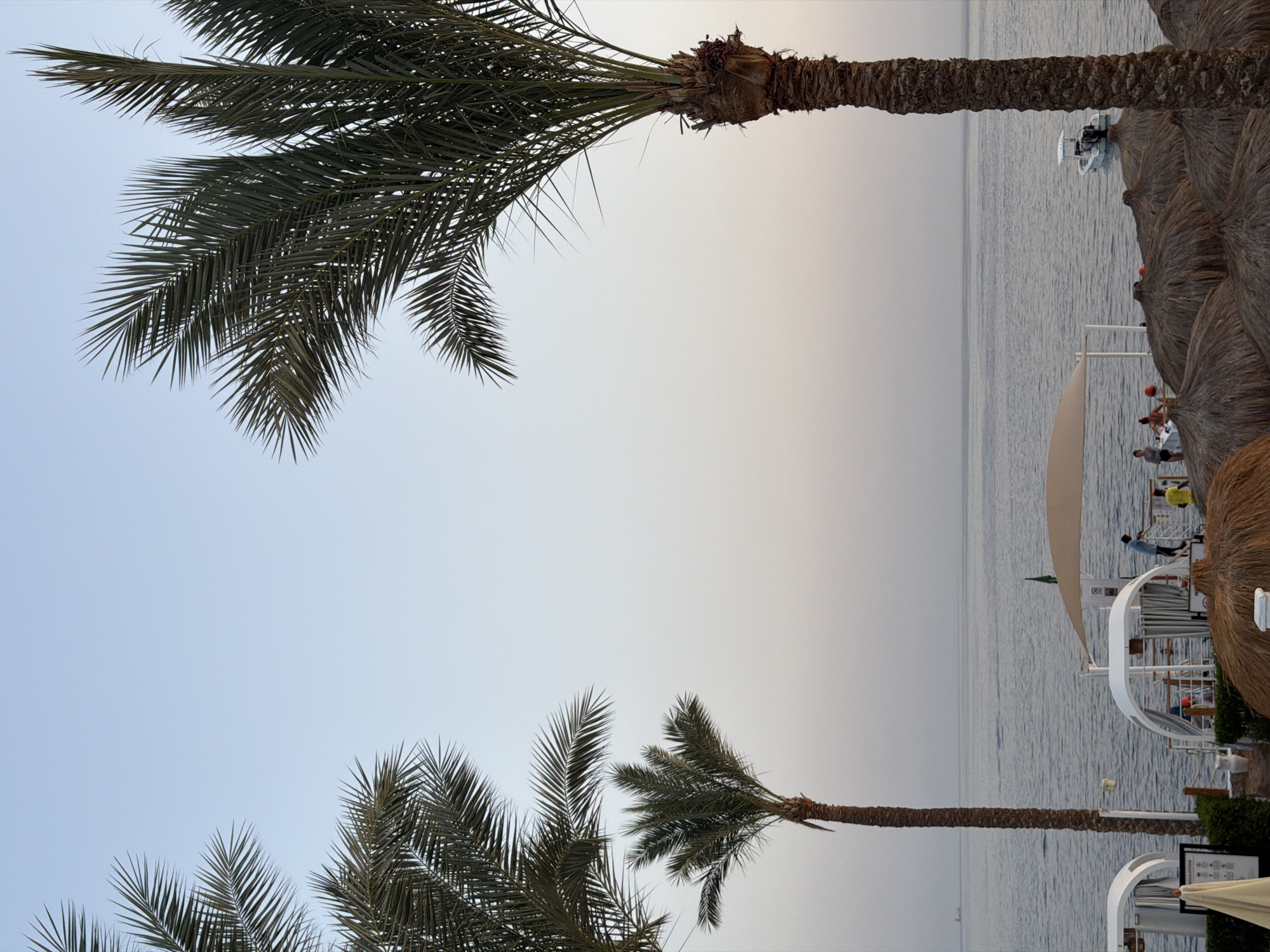 This is a photograph of a beach scene in Sharm El Sheikh, Egypt, likely taken during the late afternoon or early evening. The image is dominated by palm trees in the foreground, with their fronds silhouetted against a pale sky that transitions from a soft blue at the top to a muted orange near the horizon.
In the middle ground, the calm sea stretches out, with a faint hint of a ship or distant landmass on the left horizon. Closer to shore, a few thatched umbrellas and white cabana-like structures suggest a resort or beach club. Several people are visible, some standing or interacting near the cabanas, and one person wearing a blue shirt is standing on a structure. A small white boat is moored in the water on the right side of the image.
The overall atmosphere is peaceful and tropical, characteristic of a coastal resort destination. The lighting suggests the sun is low in the sky, casting soft light and long shadows, though specific shadows are not prominent due to the even illumination. The focus is on the natural elements of palm trees and the sea, combined with the amenities of a beach resort.