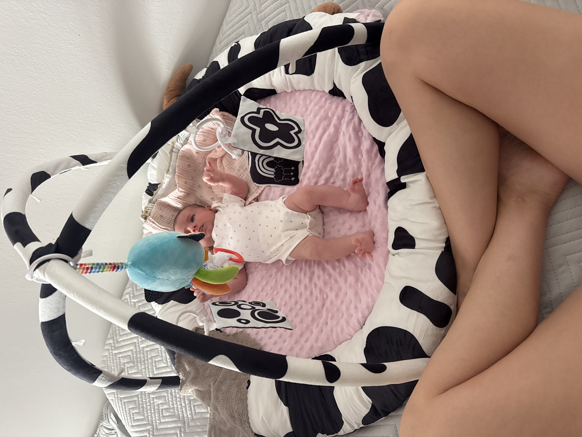 An overhead shot captures a baby lying on a pink play mat within a black and white cow-print activity gym. The baby, dressed in a white onesie with faint pink hearts and a light-colored knit hat, looks upwards with a calm and alert expression. Its arms are slightly raised, and legs are bent. A light blue plush toy with colorful details hangs from an arch above the baby. Near the baby's hands are two small black and white fabric books or cards featuring high-contrast patterns, such as a flower and concentric circles, designed for infant stimulation. To the right of the frame, the crossed legs of an adult are visible, resting on a grey, textured blanket or quilt. The setting appears to be an indoor room, possibly a bedroom or living area, with a white wall in the background. The image depicts a quiet moment of a baby engaging with its toys while an adult is nearby. No visible text is present. There are no specific visual cues to indicate the location is Isola delle Femmine, Italy.