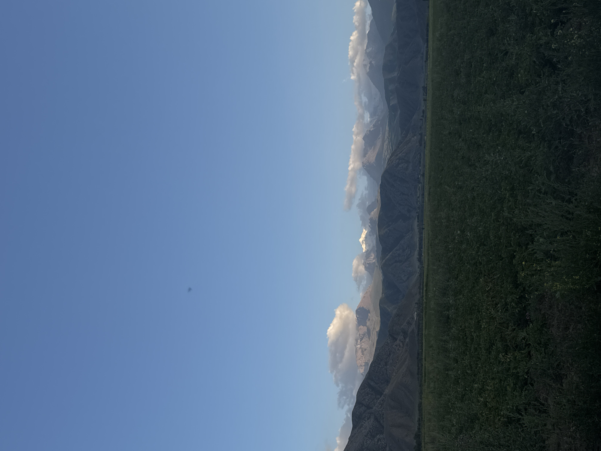 The image depicts a vast expanse of lush green fields in the foreground, likely agricultural land. Behind the fields, a range of imposing, rugged mountains dominates the middle ground. The peaks of these mountains are partially covered in snow, suggesting a high altitude or recent snowfall. Wispy clouds drift across the sky, casting soft shadows on the mountain slopes. The sky itself is a clear, vibrant blue, indicative of fair weather. The overall scene suggests a rural or natural landscape, possibly in the vicinity of Bökönbaev, Kyrgyzstan, known for its mountainous terrain and agricultural areas. There are no people or specific man-made objects visible in the immediate foreground or midground, but distant lights or structures might be present on the horizon. The lighting suggests it might be late afternoon or early morning.