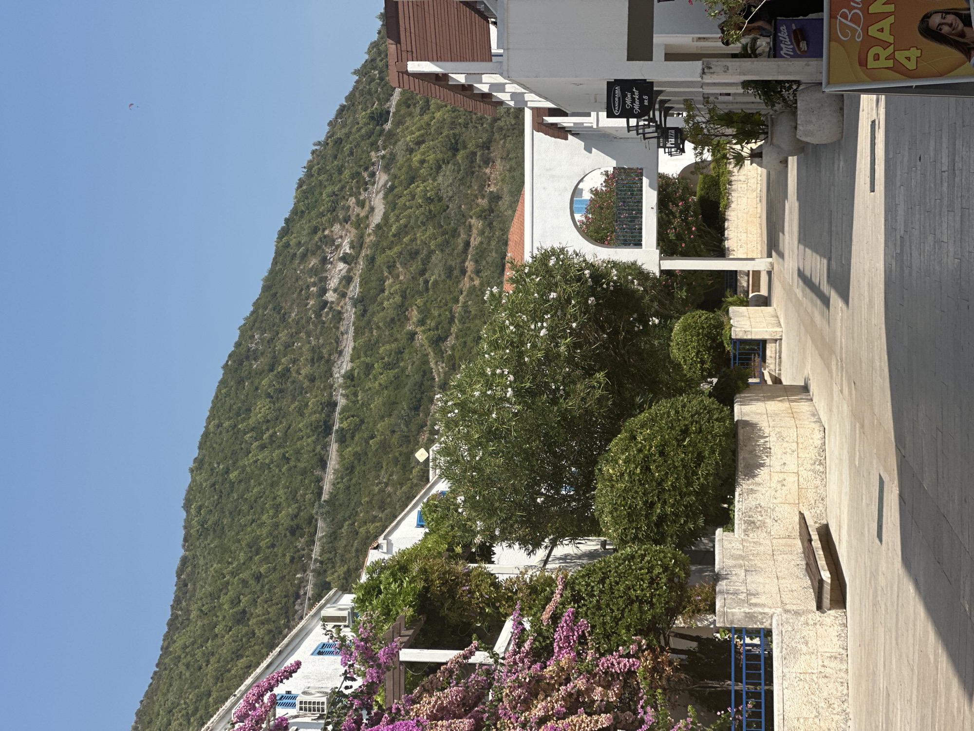 In Budva, Montenegro, a paved walkway leads through an area with white buildings and abundant greenery. Bougainvillea with pink flowers cascades down a white building on the left, while other lush bushes and trees are scattered throughout the scene. A large, green, tree-covered mountain rises behind the buildings. A white arched structure connects two buildings, with a glimpse of a balcony visible through it. Signs for "Panorama Mini Market" and "Piazza" are mounted on a building to the right. In the foreground, a stone bench is integrated into a low stone wall, and planters with greenery line the walkway. A paraglider is visible as a small red and blue speck in the clear blue sky. The lighting suggests it is a sunny day, casting distinct shadows on the ground.