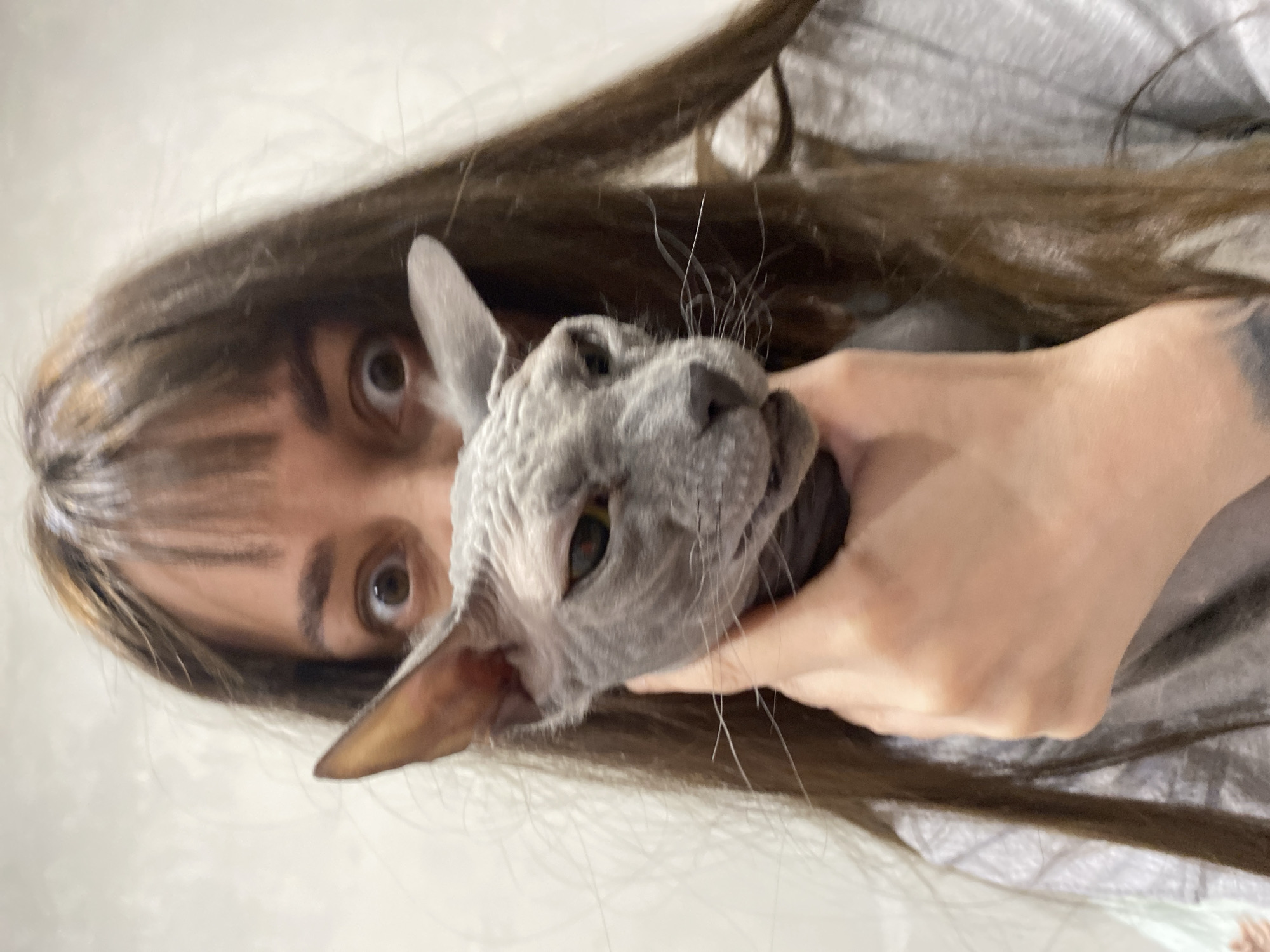 An indoor, close-up portrait features a person holding a grey Sphynx cat. The image is oriented vertically, with the subjects positioned horizontally. On the left, the upper part of a person's face is visible, characterized by wide, dark brown eyes looking directly at the viewer. Long, dark brown hair cascades around their head, and they are wearing a grey top. Their right hand, adorned with a visible tattoo on the wrist, gently cradles the cat's head.
The Sphynx cat is prominently displayed, showcasing its distinctive hairless, wrinkled grey skin and large, pointed ears. Its eyes, partially closed, are a striking yellowish-green, and some fine whiskers are visible around its snout. The cat's overall expression appears calm. The interaction between the person and the cat suggests a gentle and affectionate moment. The background is a plain, light-colored wall. This scene takes place in Votkinsk, Russia. There is no visible text in the image.
