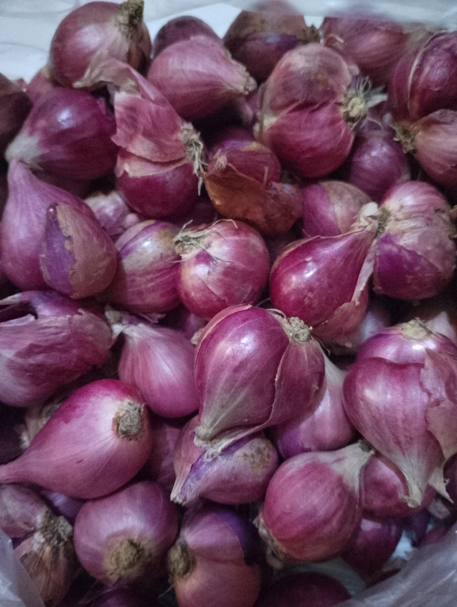 A pile of red onions is shown, filling the frame. The onions are of various sizes and shapes, with some being more elongated and others rounder. Their skins are a deep reddish-purple color, with some lighter papery layers visible. The onions are tightly packed together, creating a textured surface. The lighting is somewhat dim and diffused, casting soft shadows. The image appears to be a close-up shot of the onions, with no background elements visible besides a hint of a white surface underneath. It is not possible to determine the location in South Tangerang, Indonesia from this image.