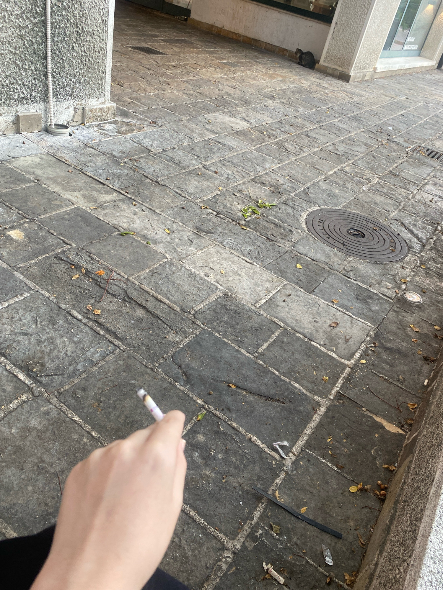 The image depicts a person's hand holding a lit cigarette, held in the foreground. The background shows a stone-paved walkway in what appears to be an outdoor urban setting. The paving stones are irregular in shape and color, with some showing signs of wear and tear. Scattered leaves and debris are visible on the ground, suggesting an autumn or post-storm scene. Further in the background, a dark-colored cat is sitting near a building with large windows. A manhole cover is also present on the walkway. The overall scene suggests a casual, everyday moment in a public space. The location appears to be in Budva, Montenegro, possibly in a pedestrianized area or a side street.