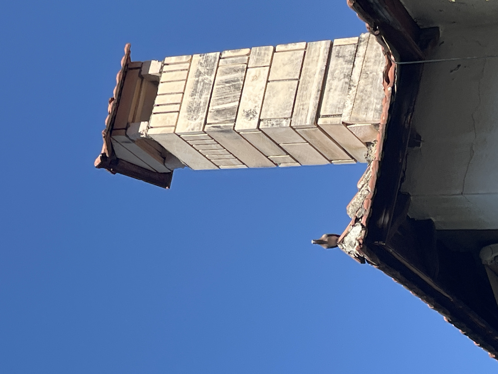 The image presents a worm's-eye view of a building's upper section, predominantly against a clear, vibrant blue sky. A prominent architectural feature, resembling a chimney or decorative projection, extends horizontally across the frame from the left. This structure is composed of rectangular, light-colored blocks, likely stone or marble, exhibiting visible weathering and streaks of discoloration.
On the far left, a section of the building's roofline is visible with reddish-brown terracotta tiles and dark guttering. Another part of the roof and an adjacent wall with off-white, somewhat cracked plaster appears on the right side. A small, dark-feathered bird, possibly a pigeon or dove, is perched on the outermost edge of the right-hand roof. A thin, horizontal wire or cable is also visible against the plaster wall on the right.
The bright sunlight and cloudless sky indicate a clear, sunny day. The architectural style, including the traditional roof tiles and stone masonry, is consistent with buildings found in Alanya, Turkey. No human activity or visible text is present.