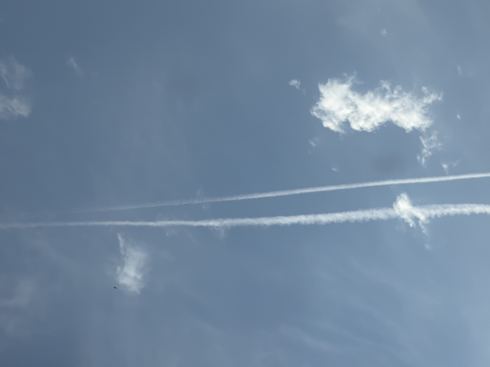 The image shows a clear blue sky with two prominent contrails from aircraft. One contrail is a thin, straight line that runs vertically up the right side of the frame. The second contrail is thicker and more diffused, also running vertically, but slightly to the left of the first. It appears to be dissipating and has a wispy, cloud-like appearance in places, especially near the bottom and middle of the frame. There are a few scattered, small clouds present, one particularly noticeable puffy cloud on the right side of the image. In the upper left quadrant, there is a small, dark, triangular object that could be a distant bird or a small aircraft. The overall scene is one of a bright, clear day with signs of air traffic. The location is the sky above Burgas, Bulgaria.
