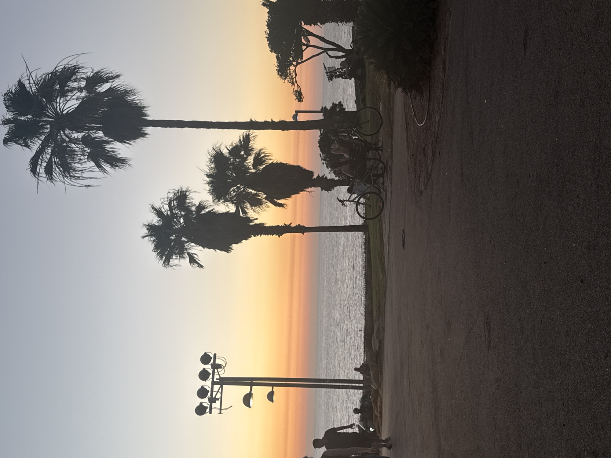 The image depicts a sunset scene at a beachside promenade in Tel Aviv, Israel. The sky transitions from a pale blue at the top to vibrant shades of orange and yellow closer to the horizon, where it meets the calm sea. Several palm trees are silhouetted against the sky, with one particularly tall tree dominating the right side of the frame. In the foreground, a paved pathway or promenade runs horizontally across the image.
On the pathway, two individuals are walking from left to right. Further into the scene, near the waterline, a few other people are visible, some sitting on rocks or the ground. A tall lamppost with multiple lights stands prominently on the left side of the promenade. To the right of the lamppost, a group of people are gathered, some seated on a bench, with bicycles parked nearby. In the far right, a camera equipment setup is visible, including a tripod and a camera, suggesting a filming or photography session in progress. The overall atmosphere is relaxed and serene, characteristic of an evening by the sea.