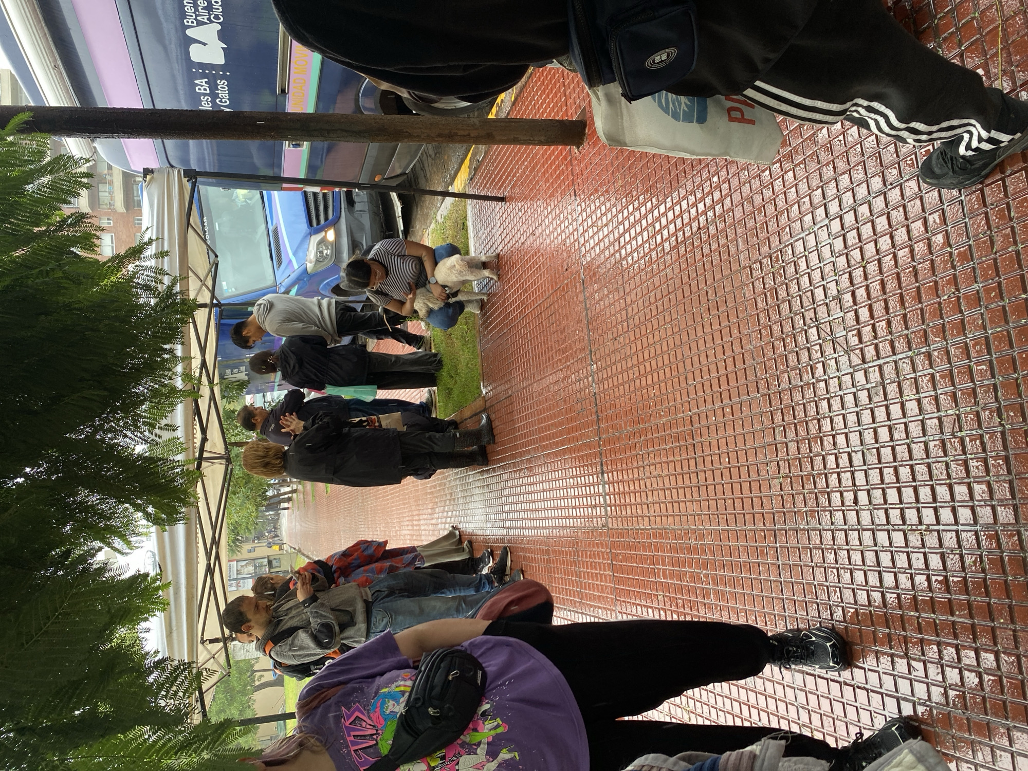 The image depicts an outdoor scene in Buenos Aires, Argentina, showing a line of people on a wet, red-tiled sidewalk, suggesting recent rainfall.
In the background, a large blue and purple bus or van is parked, bearing official-looking text in Spanish. Visible phrases include "Buenos Aires," a prominent "BA" logo, and "y Gatos" (and Cats), along with "UNIDAD MOVI" (Mobile Unit). This indicates the vehicle is likely part of a mobile animal welfare or public service program. A smaller blue van, partially visible, has "VOLCAR" written on its side. Lush green tree foliage frames the left side of the scene.
A diverse group of people is present, appearing to be in a queue or gathered for an event. Towards the middle of the frame, one individual in a striped shirt is crouched down, interacting with a small, white, fluffy dog on a patch of grass. Other attendees stand patiently, some engaged in conversation. In the foreground, a person wearing a purple shirt, a black fanny pack, dark pants, and sneakers is visible. Another person's legs and feet are seen on the far right, wearing black track pants with white stripes and dark sneakers, and carrying a white bag with a partial "P" visible.
The scene conveys a sense of quiet anticipation, possibly for animal-related services provided by the mobile unit, on an overcast day.