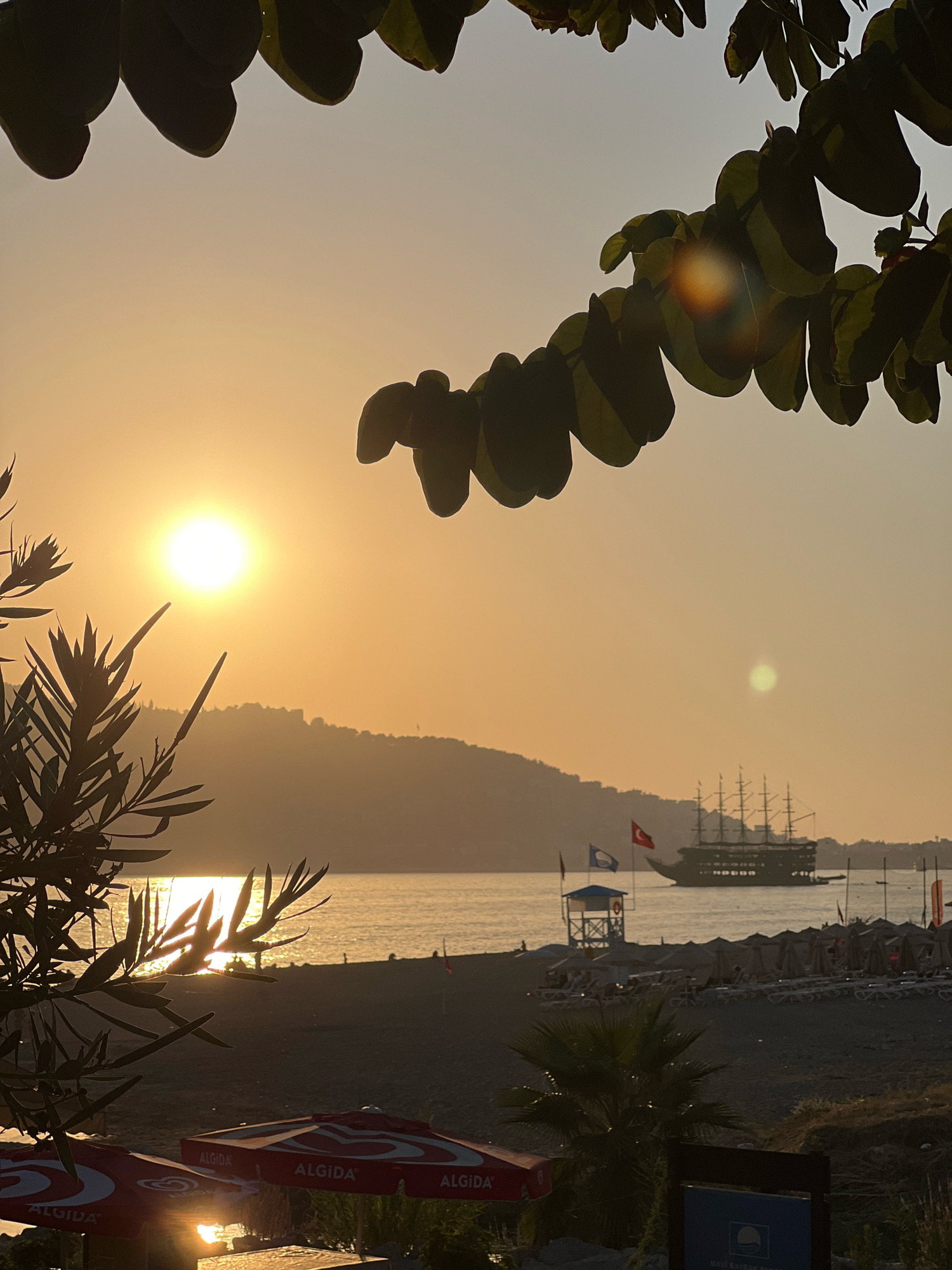 This is a vertical, low-angle shot of a beach scene in Alanya, Turkey, during sunset. The sun is a bright, luminous orb low in the sky, casting a warm, golden glow over the water and the silhouette of hills in the distance. The foreground is partially obscured by dark, leafy branches of trees, and on the left, by the spiky leaves of a shrub with seed pods. Two red umbrellas with white branding ("ALGIDA") are visible in the bottom left, with their reflection shimmering on the wet sand.
Further back, a sandy beach is lined with rows of empty lounge chairs and umbrellas, suggesting a resort or public beach area. A small, blue lifeguard tower stands on the sand. In the middle ground, a large, dark sailing ship with multiple masts is anchored in the calm sea. Two flags, one red with a white star and crescent (Turkish flag) and a blue flag, are mounted on the lifeguard tower. The sea reflects the golden hues of the sunset. The overall atmosphere is serene and peaceful, capturing the end of a day at the Mediterranean coast.