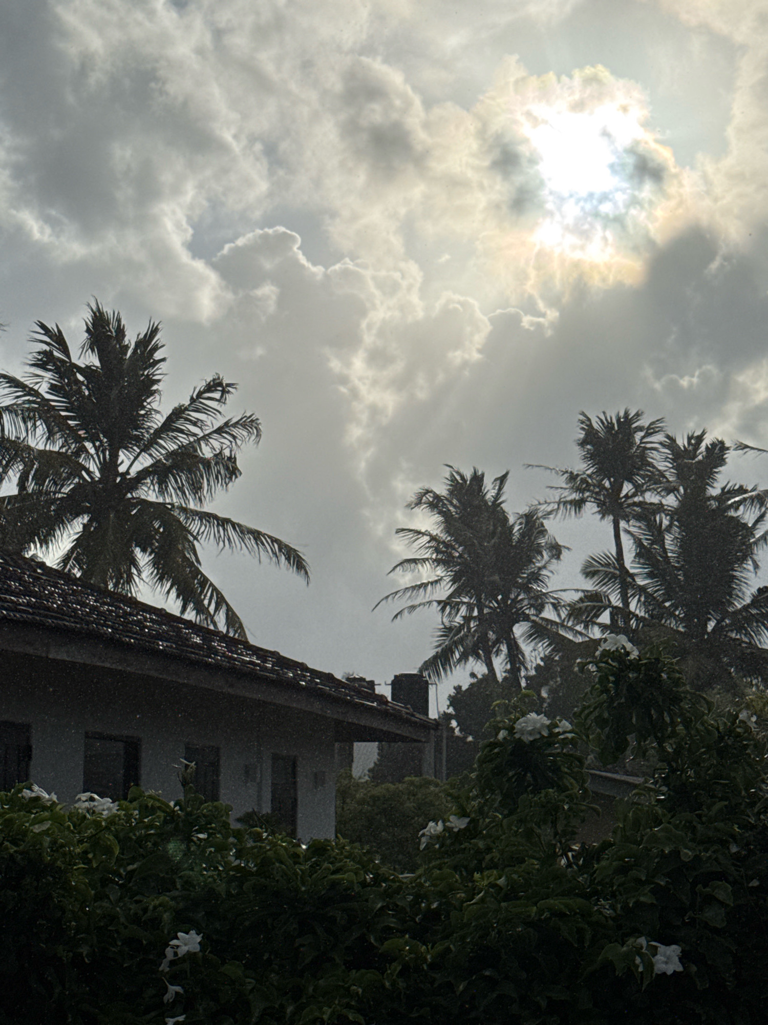 In Goviyapana, Sri Lanka, a residential property is captured during a rain shower. The sky is overcast with dramatic clouds, through which the sun is attempting to break, casting rays of light. Palm trees with their fronds are silhouetted against the sky, some appearing to be in motion due to the wind and rain. A tiled roof of a building is visible in the foreground, with rain droplets evident on its surface. Lush green foliage, including flowering bushes with white blossoms, occupies the lower portion of the frame, also showing signs of the downpour. The scene suggests a tropical climate experiencing inclement weather.