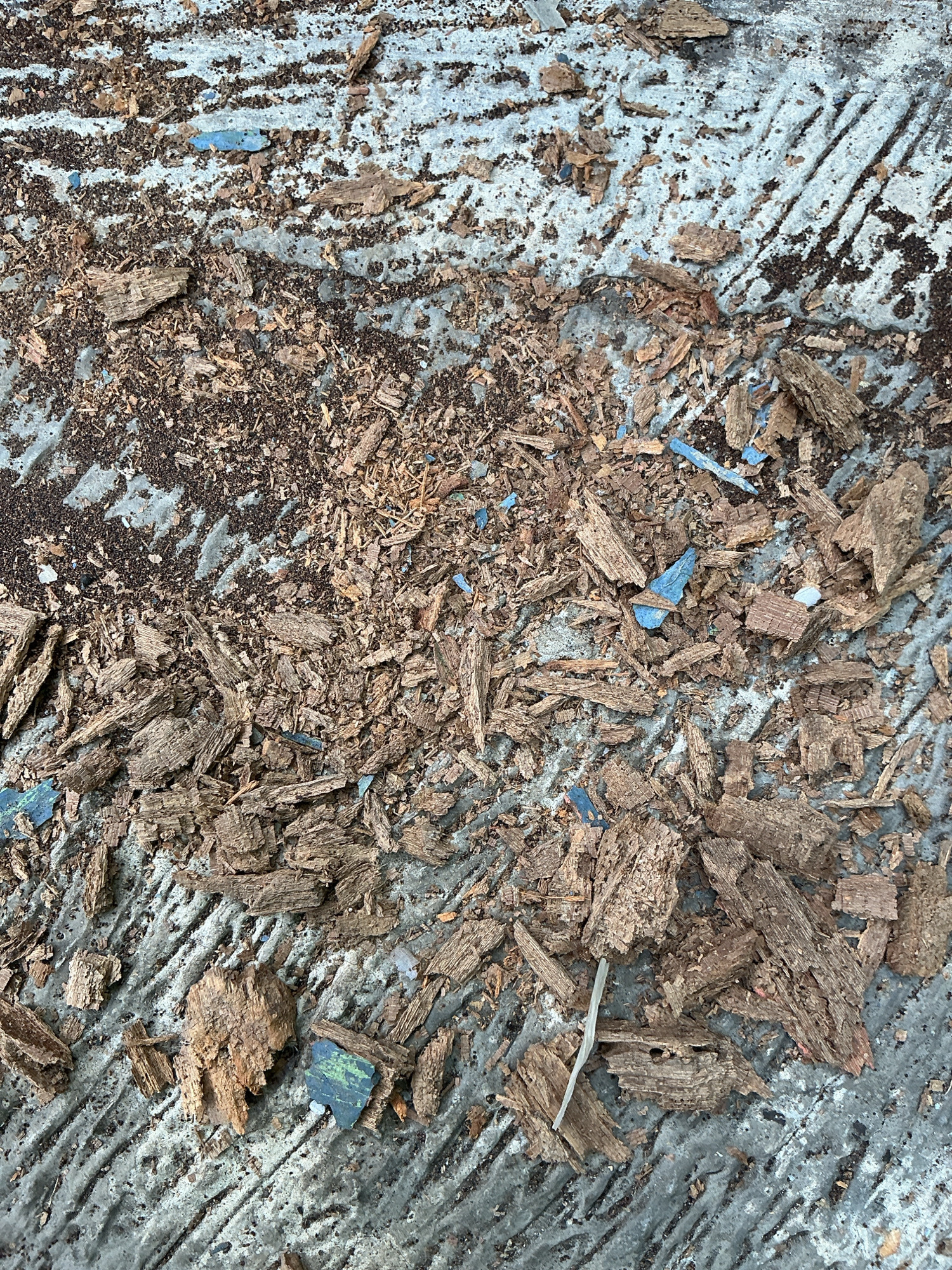 The image displays a close-up, overhead view of wood chips and fine dark debris scattered across a rough, textured surface. The surface appears to be concrete or a similar material, characterized by parallel linear grooves or striations. Among the wood debris, small fragments of blue and green material are intermittently visible, suggesting the presence of painted or colored objects that have been broken or weathered. The wood fragments vary in size and shape, with many appearing splintered and aged. A thin, white plastic-like filament is also present. The lighting suggests an outdoor environment, likely during daylight. The scene is devoid of any human presence or discernible urban landmarks, making it impossible to determine its specific location within Magelang, Indonesia, beyond it being an outdoor ground surface.