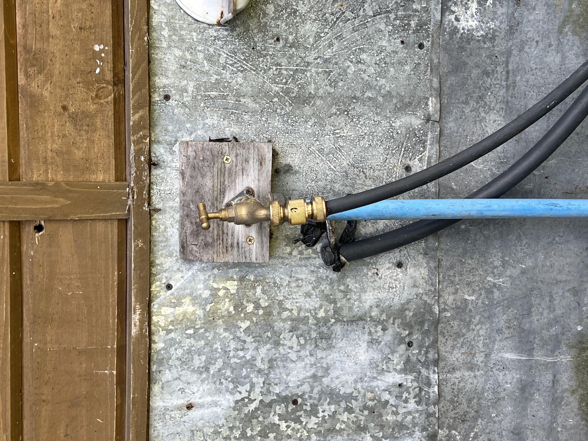 The image shows a close-up of a brass outdoor faucet attached to a corrugated metal wall. Above the metal wall, there is a wooden planked section. Two hoses are connected to the faucet: one black hose and one blue pipe. The faucet is mounted on a small, weathered piece of wood that is screwed into the metal. The background shows the textured surface of the corrugated metal, with some visible screws and rust spots. The lighting suggests it is daytime, possibly overcast. This scene is located in Norviliškės, Lithuania.