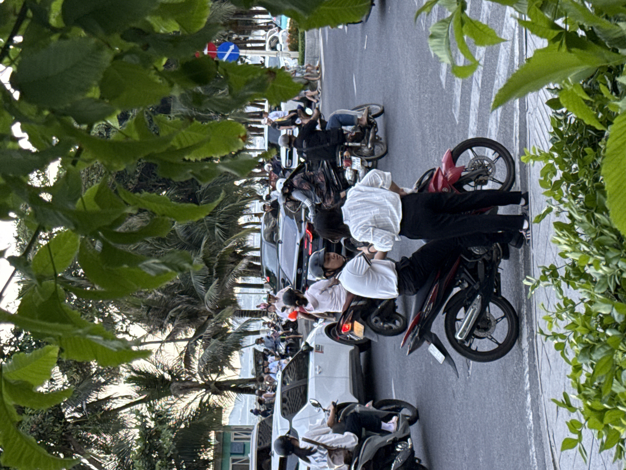 The image captures a busy street scene in Nha Trang Ward, Vietnam, likely during the day. The foreground is dominated by lush green foliage. In the mid-ground, several people are seen on motorcycles and in cars, indicating traffic on a paved road. Two individuals on a red motorcycle are prominently positioned in the center, facing left, with one wearing a white shirt and dark pants, and the other wearing a white shirt and dark pants. To their left, another person on a motorcycle is wearing a white shirt and dark pants. Further back, a white car is visible, and beyond that, a variety of motorcycles and people are scattered across the scene. Palm trees are visible in the background, suggesting a tropical or sub-tropical environment. A traffic sign with a blue circle and a white arrow pointing left is also visible on the right side of the image. The overall impression is one of urban activity in a vibrant, possibly coastal, city.