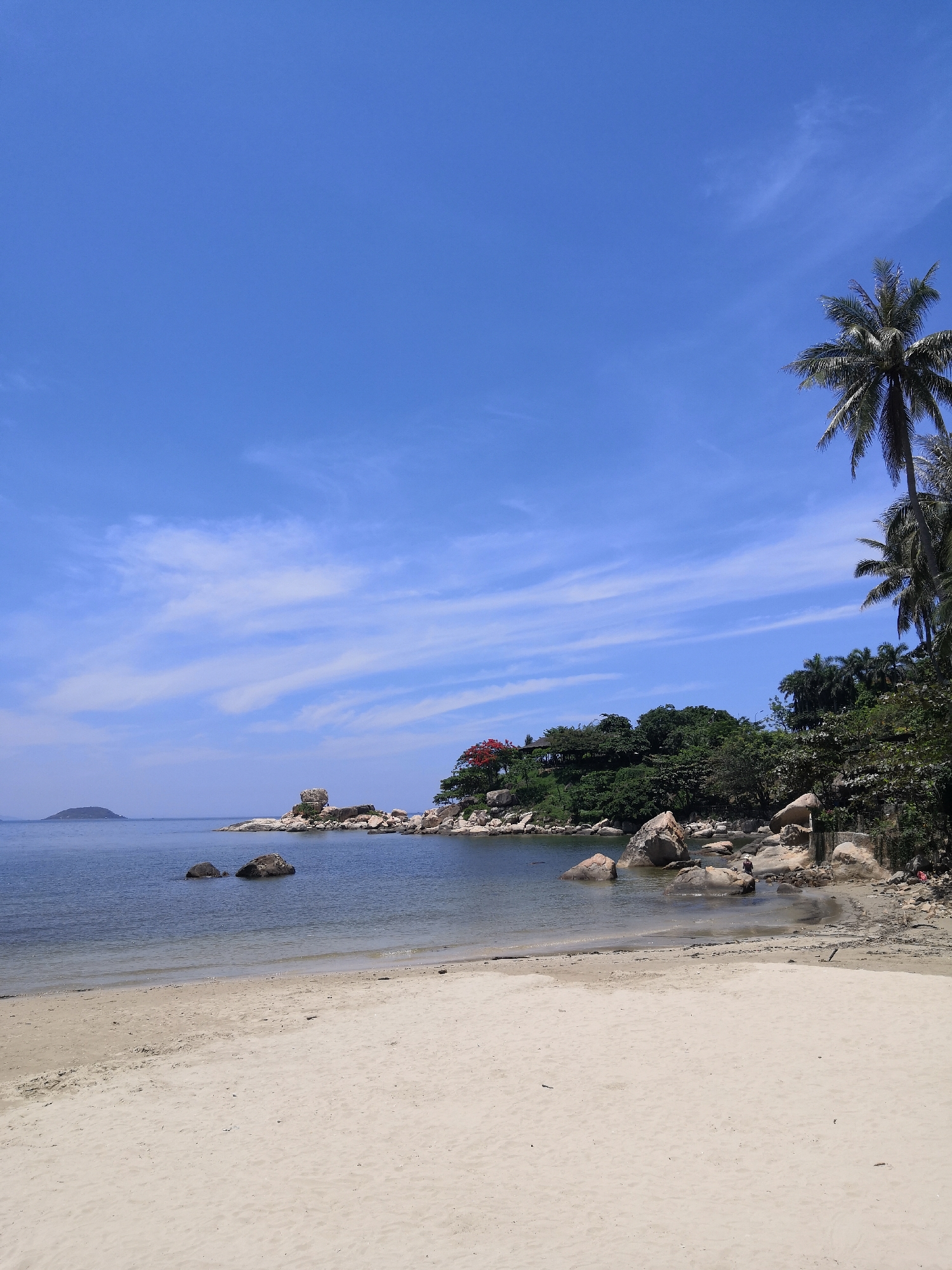 This image depicts a sunny coastal landscape located in Bac Nha Trang Ward, Vietnam. The scene is dominated by a bright blue sky that occupies the upper half, featuring sparse, elongated white clouds streaking horizontally.
The horizon line is low, revealing a calm body of water, likely a bay or ocean, with a dark blue to grey coloration. In the far left distance, a small, dark, and seemingly vegetated island or landmass is visible. Two dark rocks protrude from the water in the middle ground, slightly to the left of the center.
The shoreline on the right and center-right is characterized by numerous large, light-colored boulders and rock formations, some extending into the water. One distinct rock formation features a smaller rock perched atop a larger one. Behind the rocky shore, the land rises into a densely vegetated area, covered with lush green trees and foliage. Several tall palm trees are visible on the far right, their fronds reaching into the sky. Amidst the green canopy, a tree with bright red flowers is prominent on the left side of the elevated vegetation. A faint outline of a structure is visible through the trees in this elevated section.
The foreground consists of a wide expanse of light, tan-colored sand, forming a gentle beach. The sand appears relatively smooth, with some minor textural variations and scattered small dark debris near the waterline on the right.
One individual is present in the scene, situated near the water's edge among the rocks on the right side of the image. They appear to be wearing a light-colored hat and clothing, and their posture suggests they are stooping or examining something near the water.